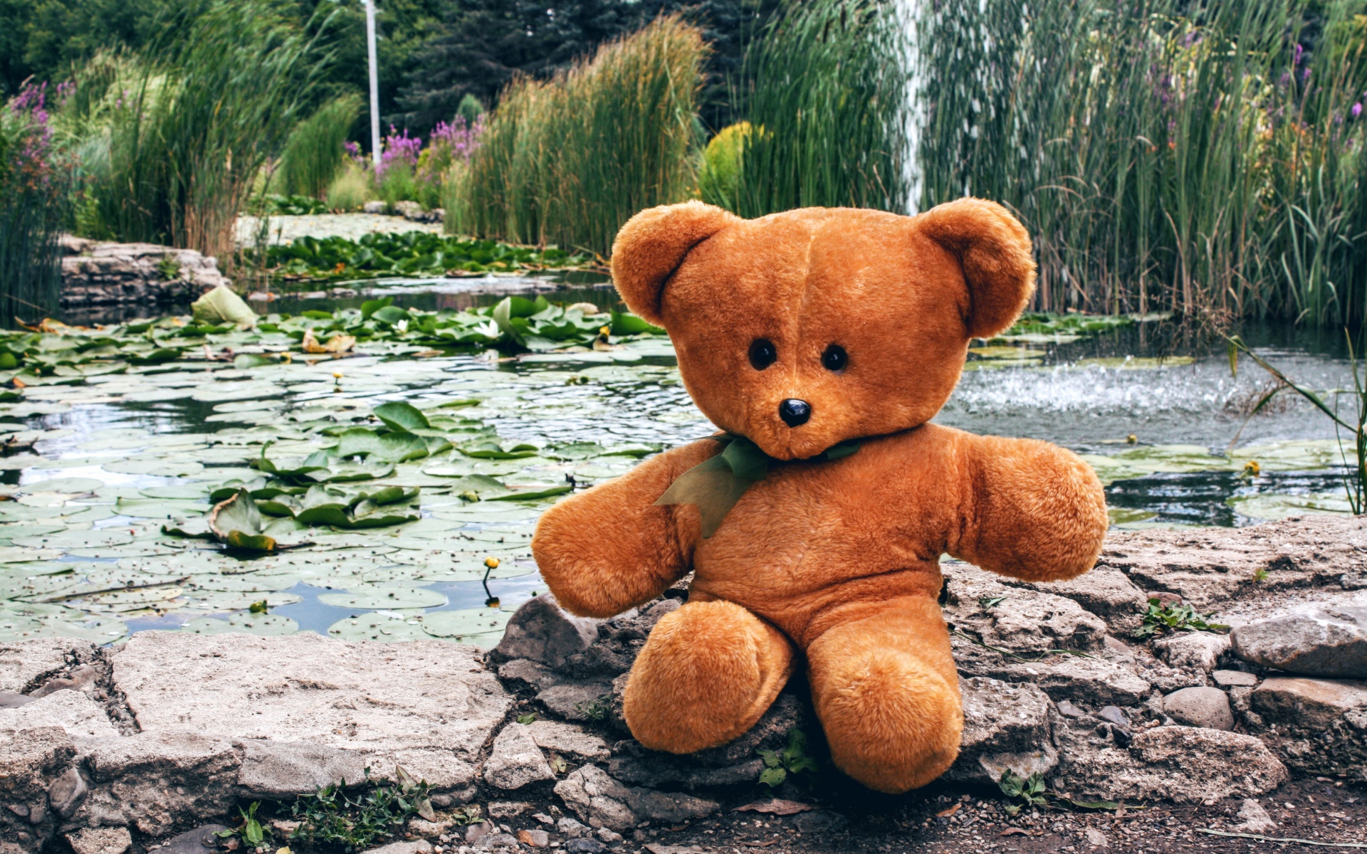 Плюшевый медведь сидит на камне у пруда