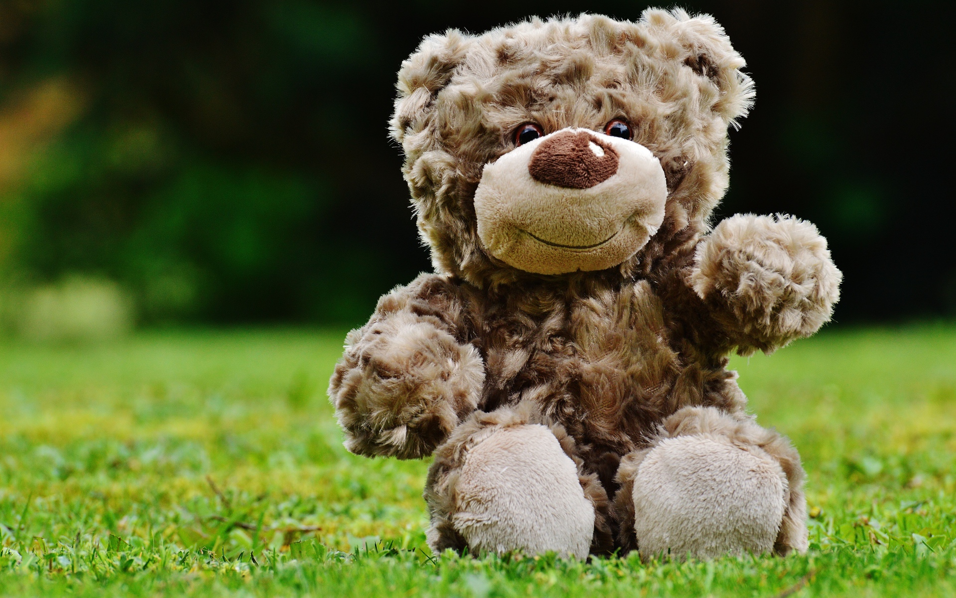 Игрушечный медвежонок сидит на зеленой траве