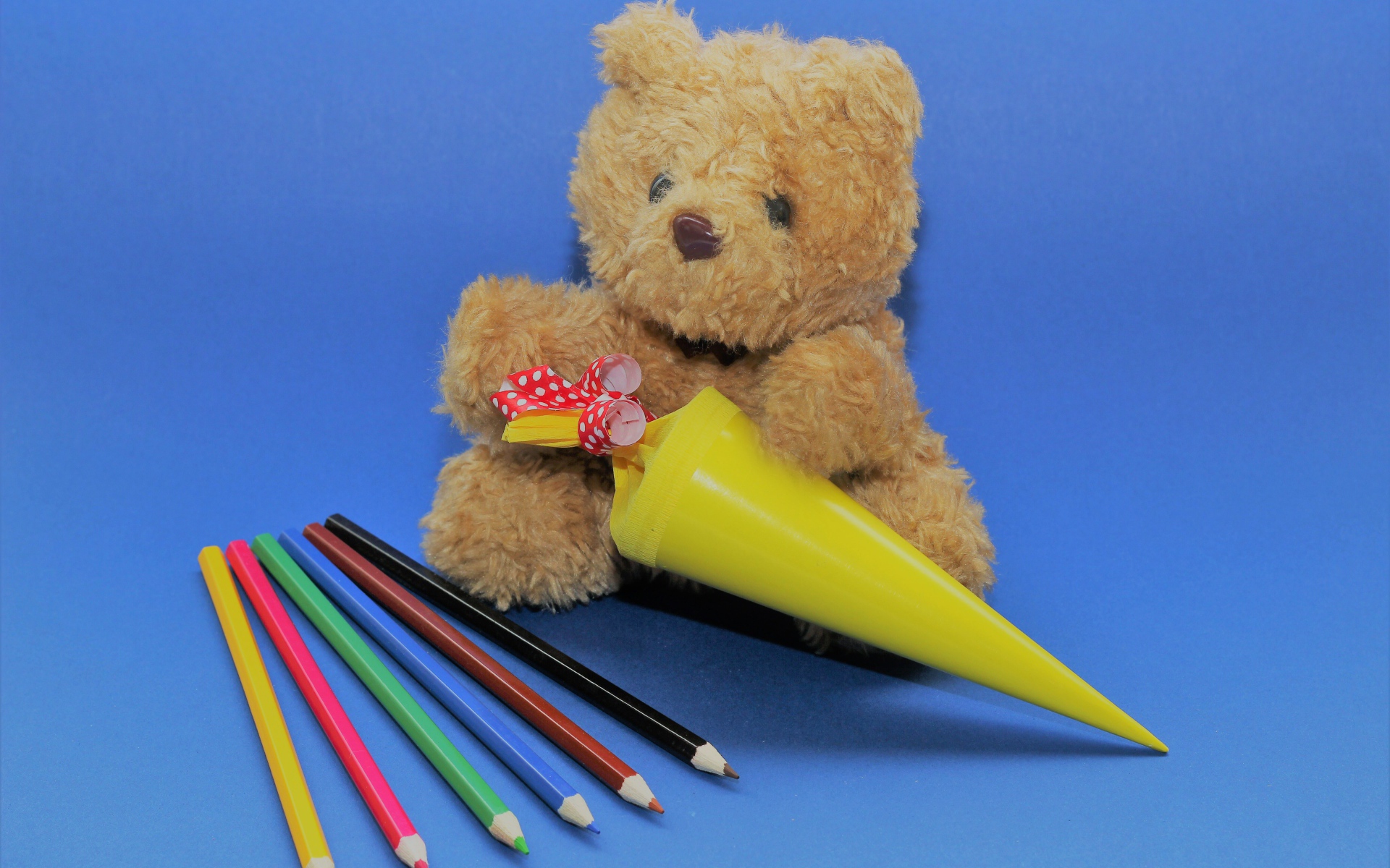 Игрушечный медвежонок  с карандашами на синем фоне
