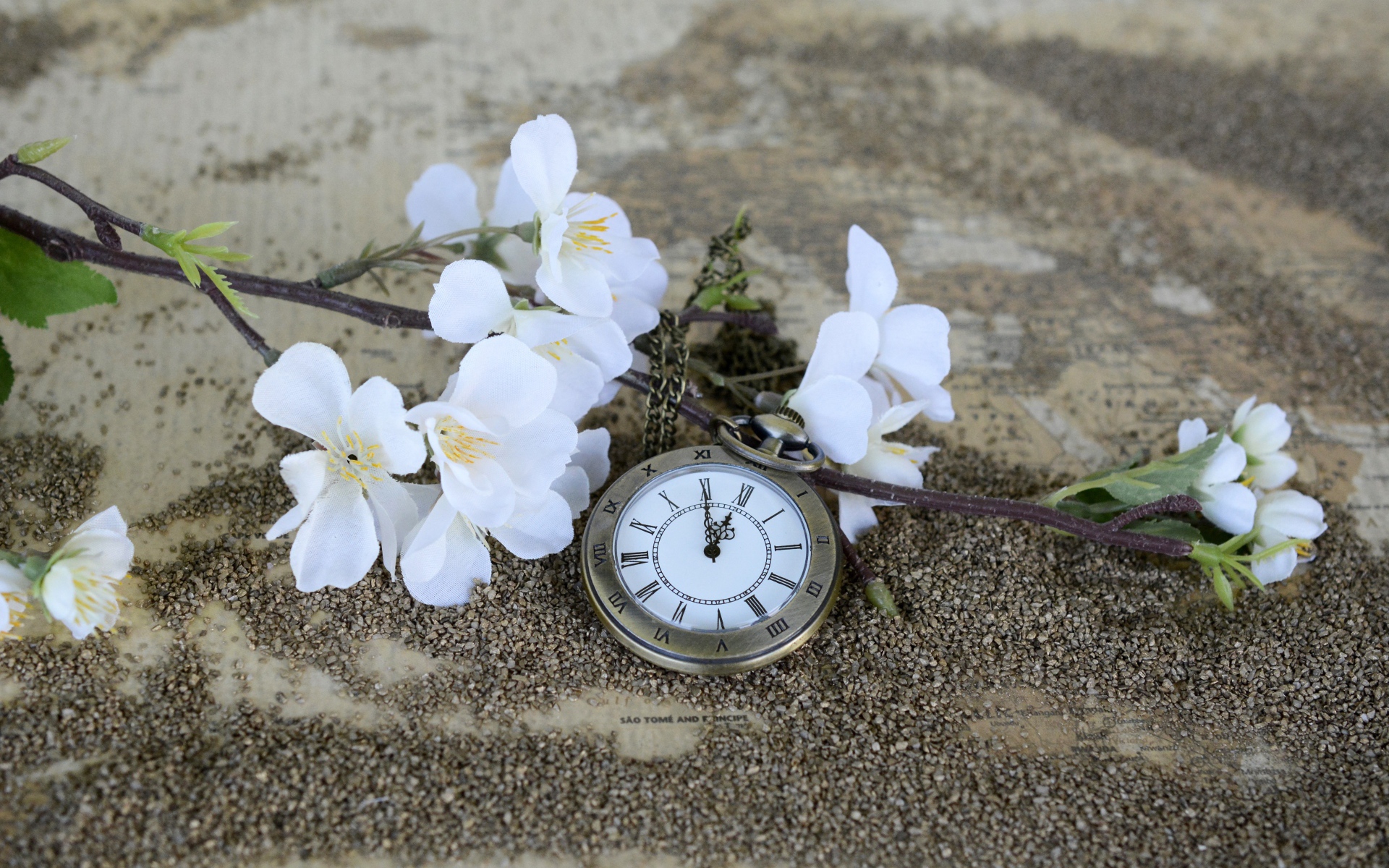 Часы лежат на земле с цветущей веткой 