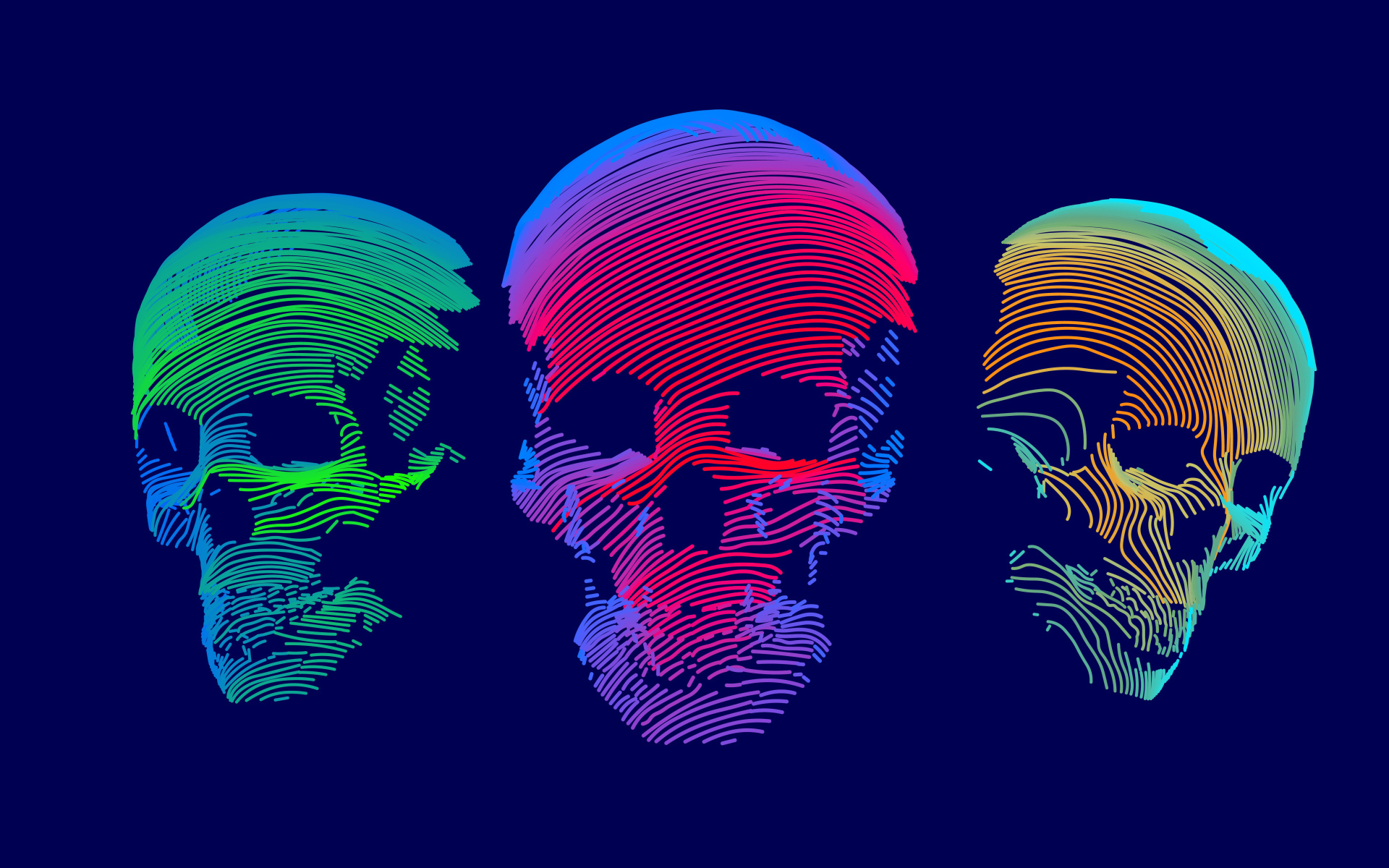 Vector drawing skulls on a blue background