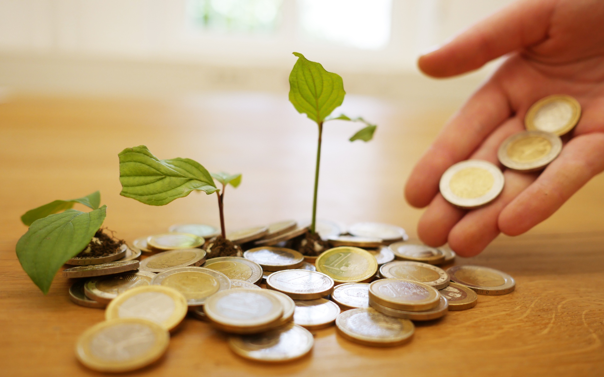 Монеты один евро с ростками на столе 