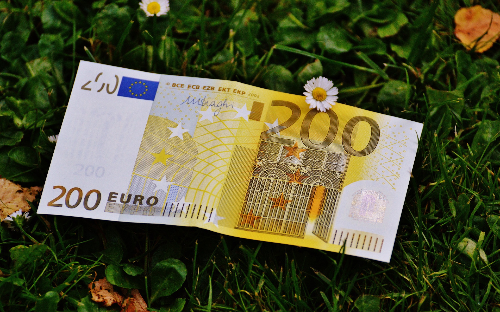 Купюра двести евро лежит на зеленой траве