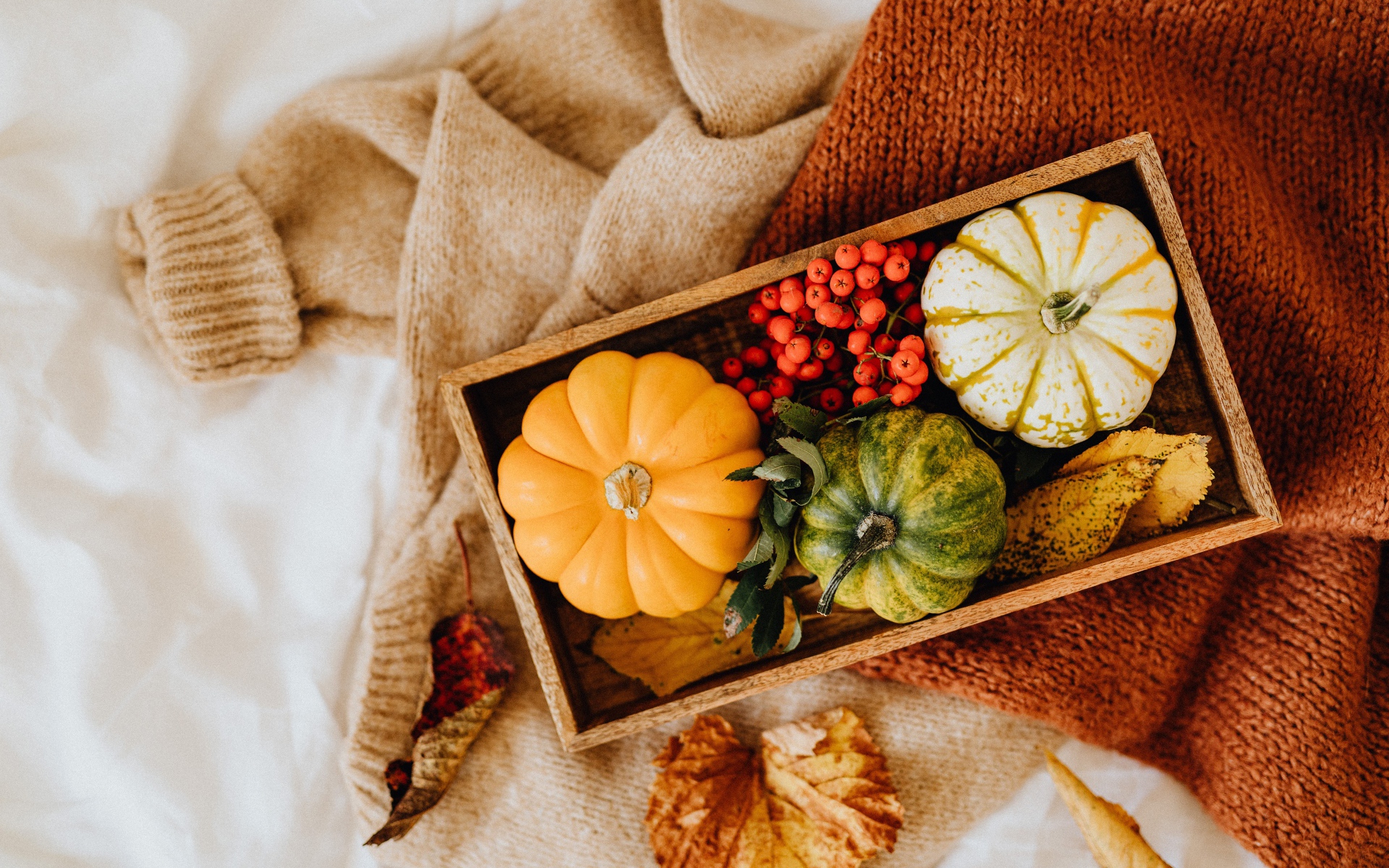 Декоративная тыква в ящике на столе с рябиной