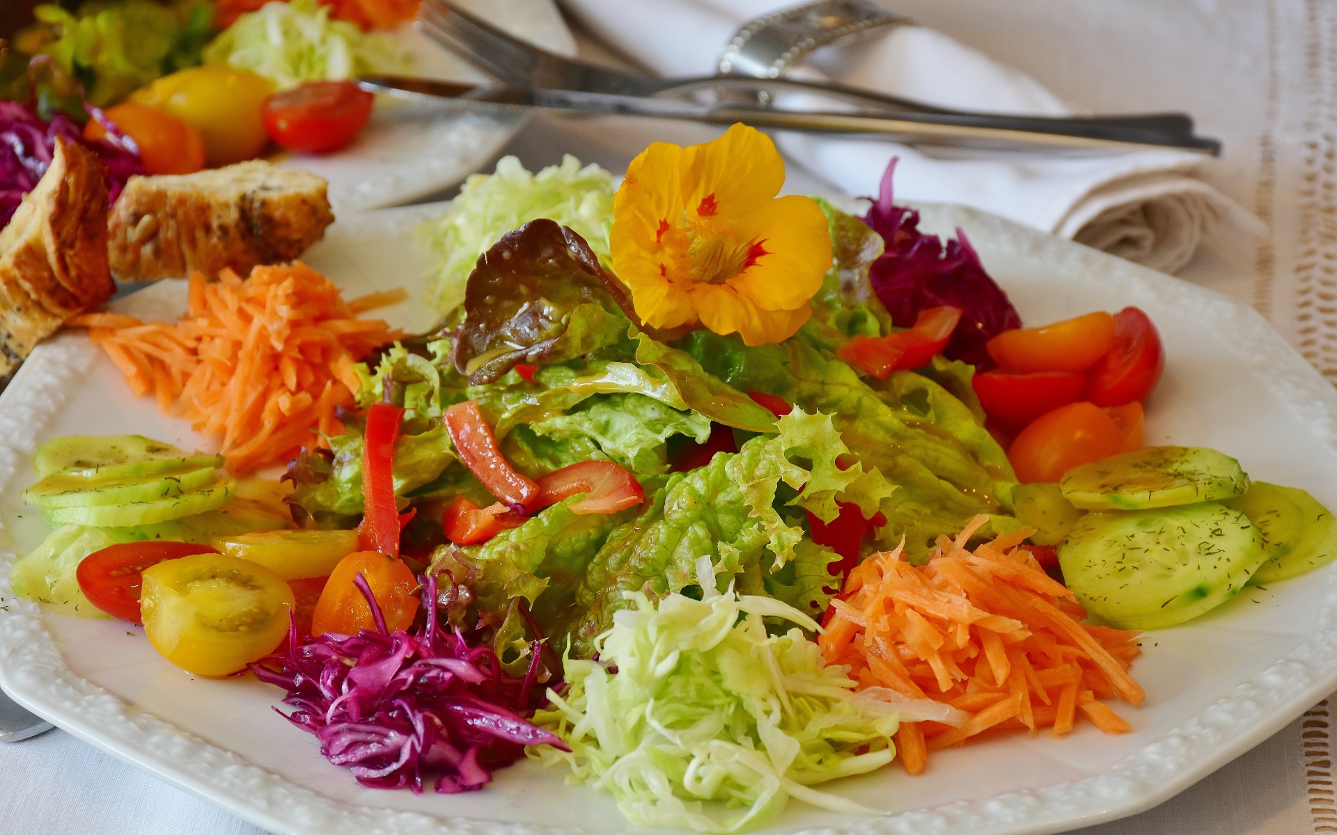 Салат из свежих овощей и зелени на большой белой тарелке 