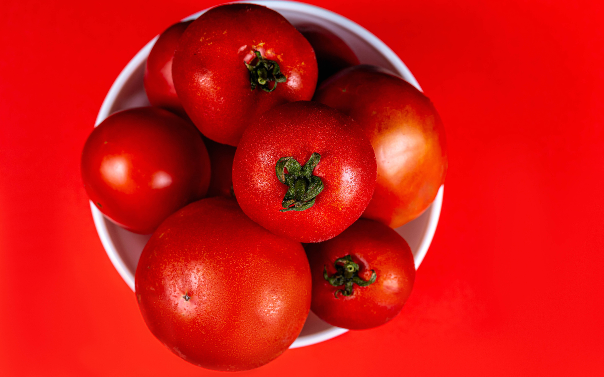 Крупные помидоры в белой миске на красном фоне
