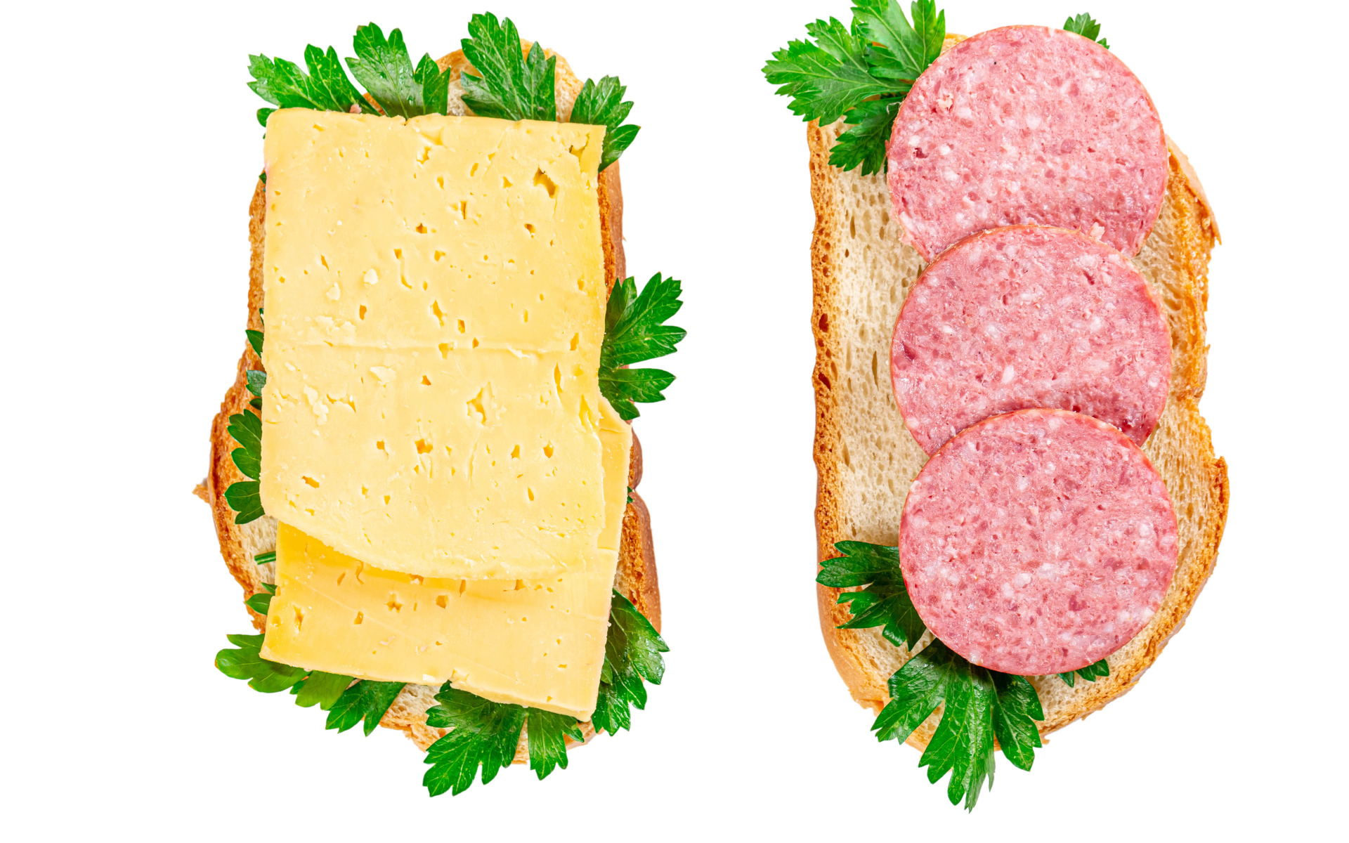 Два бутерброда с сыром,колбасой,петрушкой на белом фоне