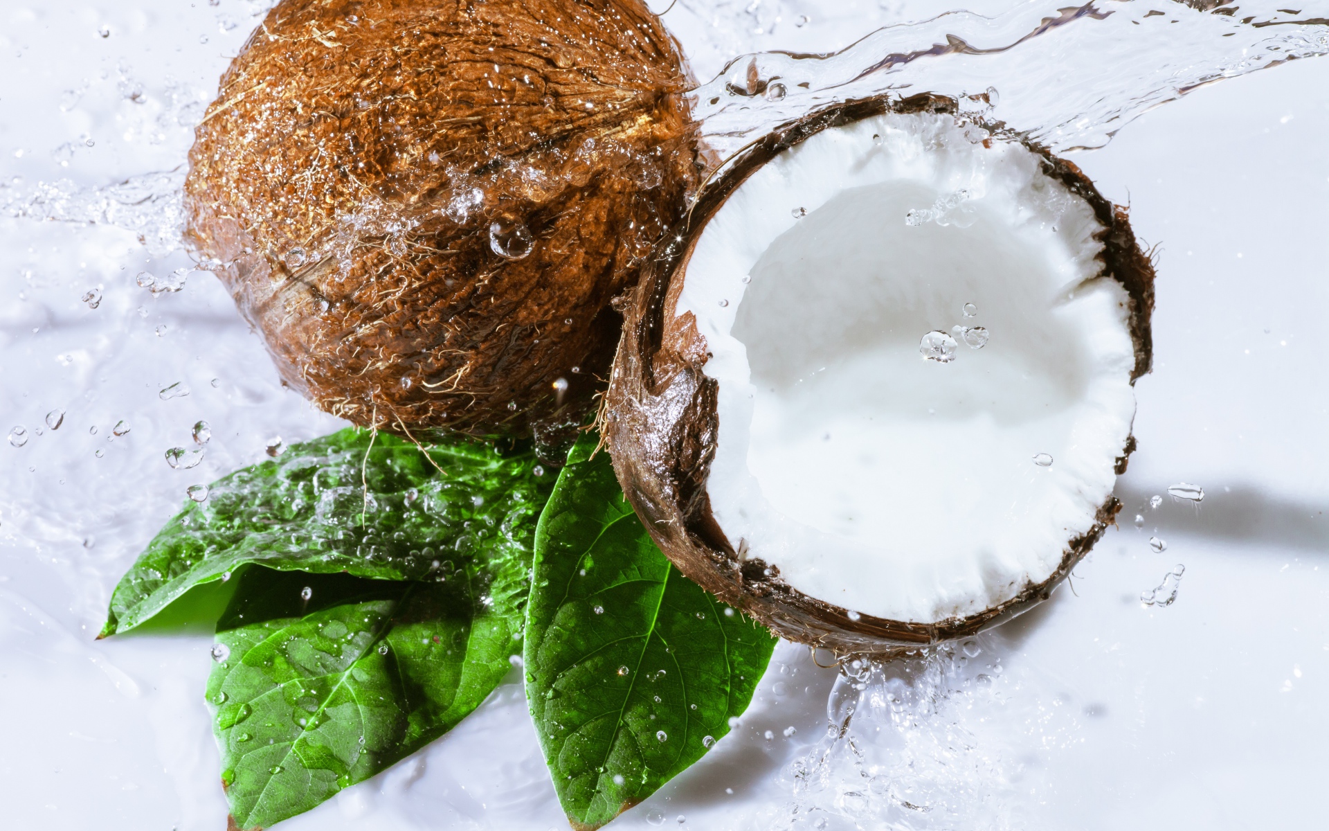 Два кокоса в брызгах воды на белом фоне