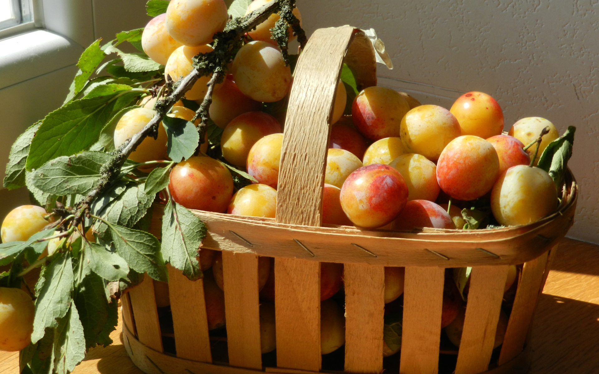 Деревянная корзина со спелыми сливами в лучах солнца