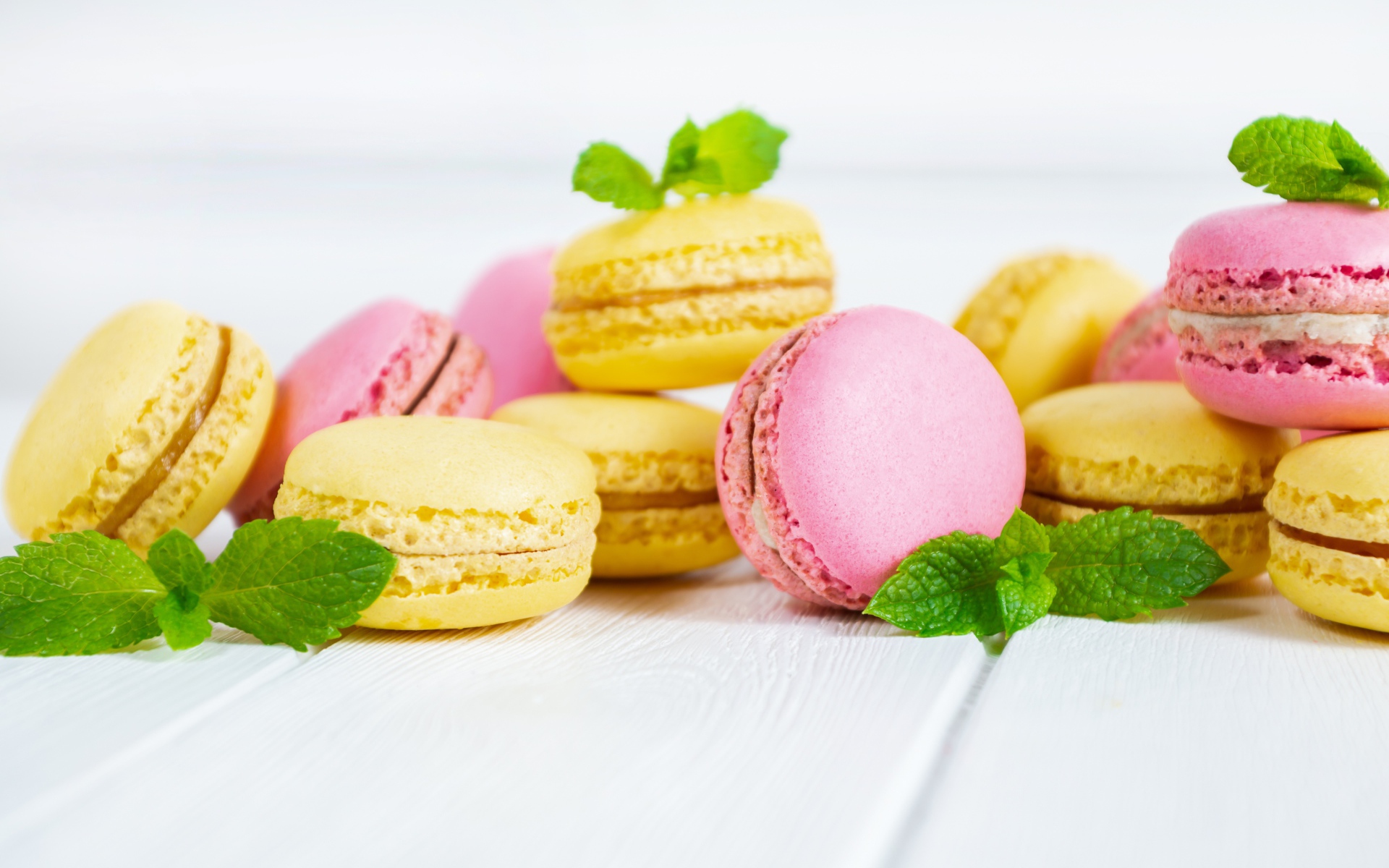 Желтый и розовый десерт макарун на белом фоне с мятой