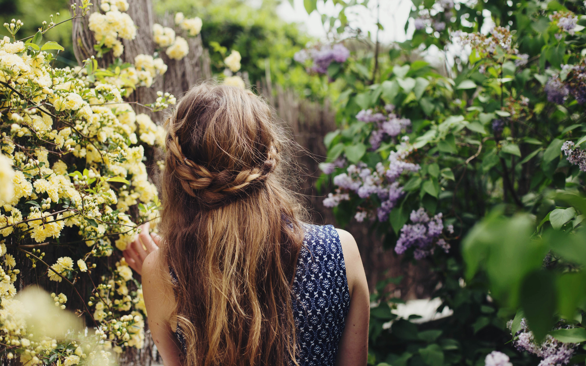 Красивая девушка с косой на голове идет по зарослям сирени 