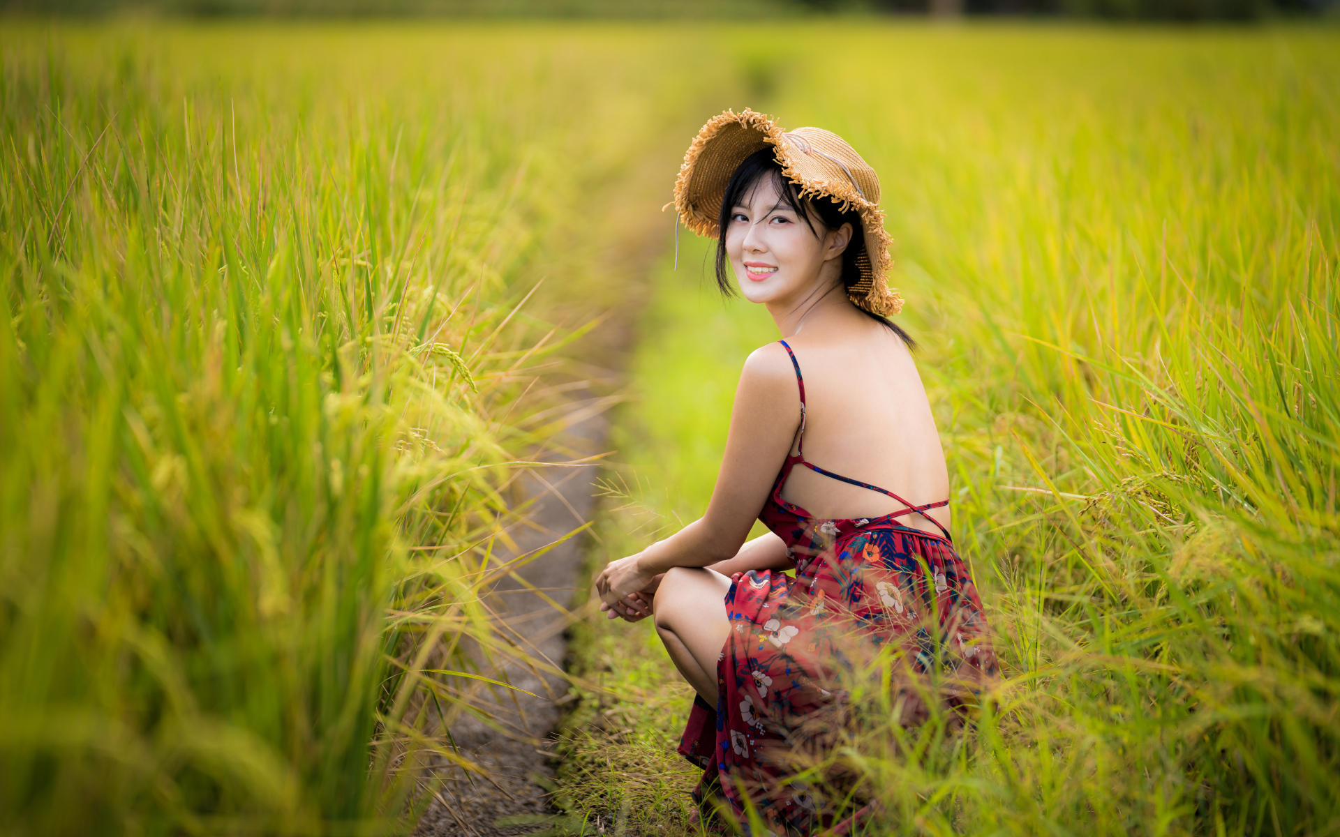 Девушка азиатка сидит на рисовом поле 