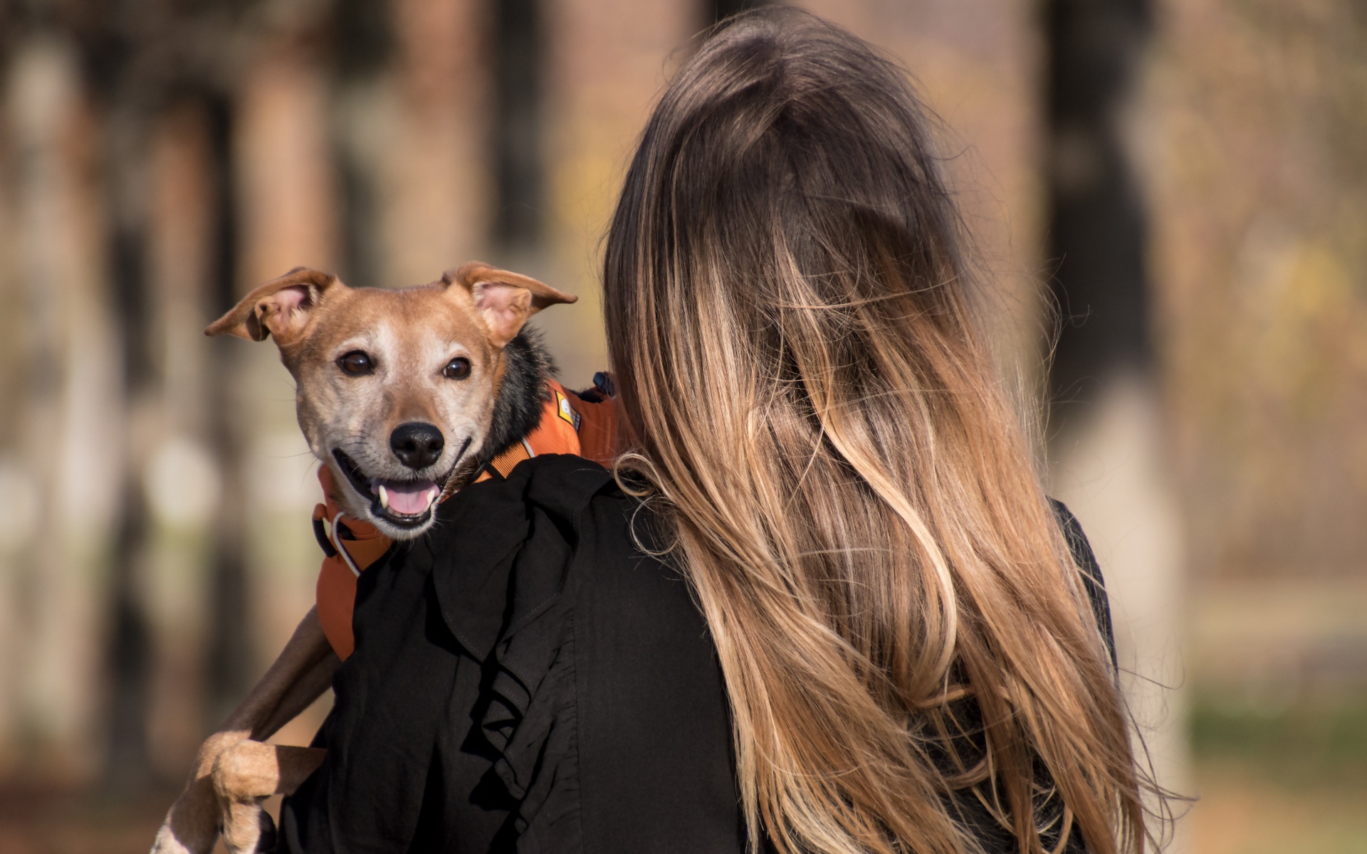 Девушка несет собаку на руках 