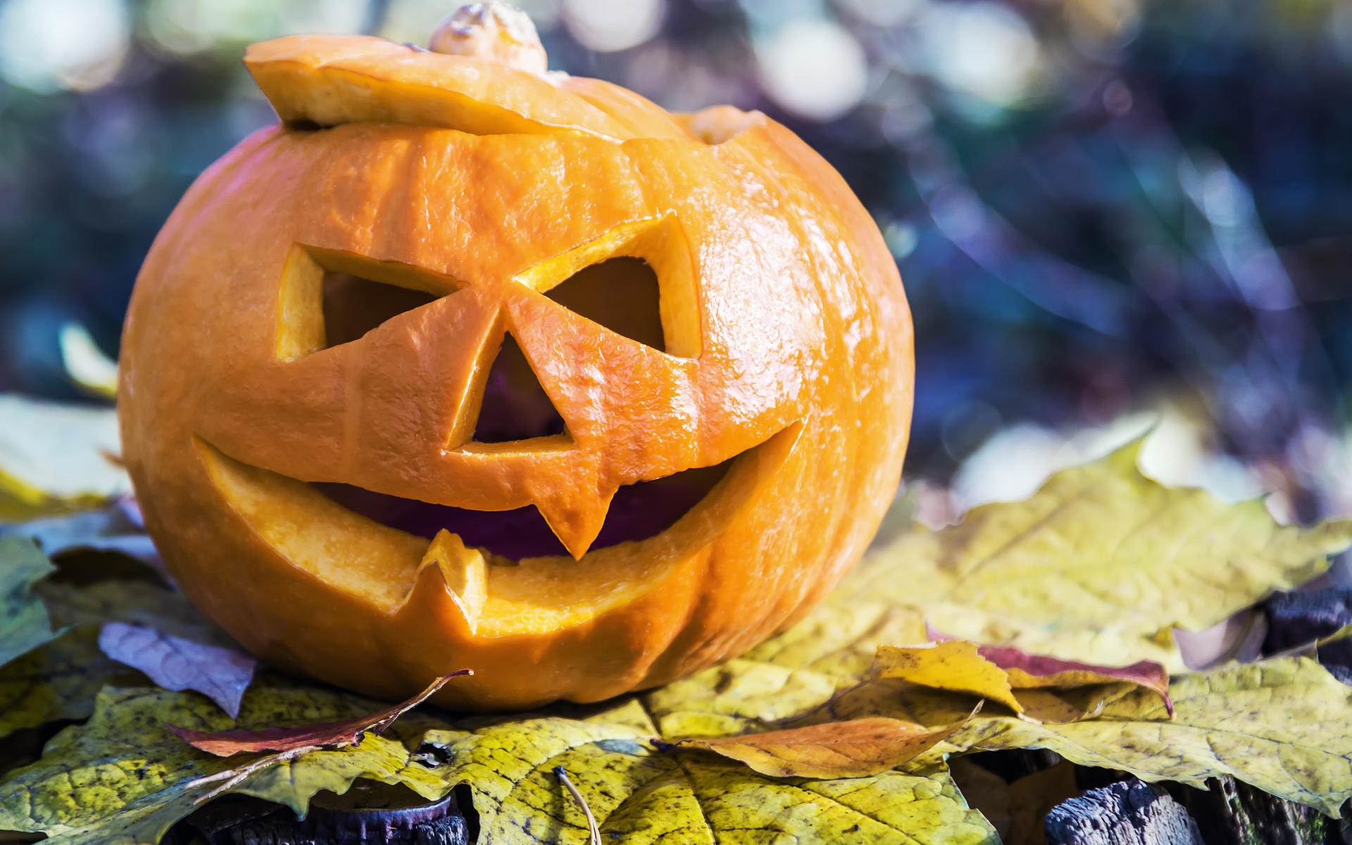 Тыква на Хэллоуин стоит на листке