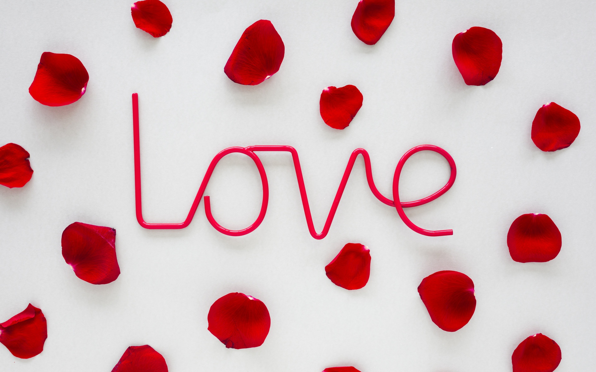 Розовая надпись Love на сером фоне с лепестками розы 