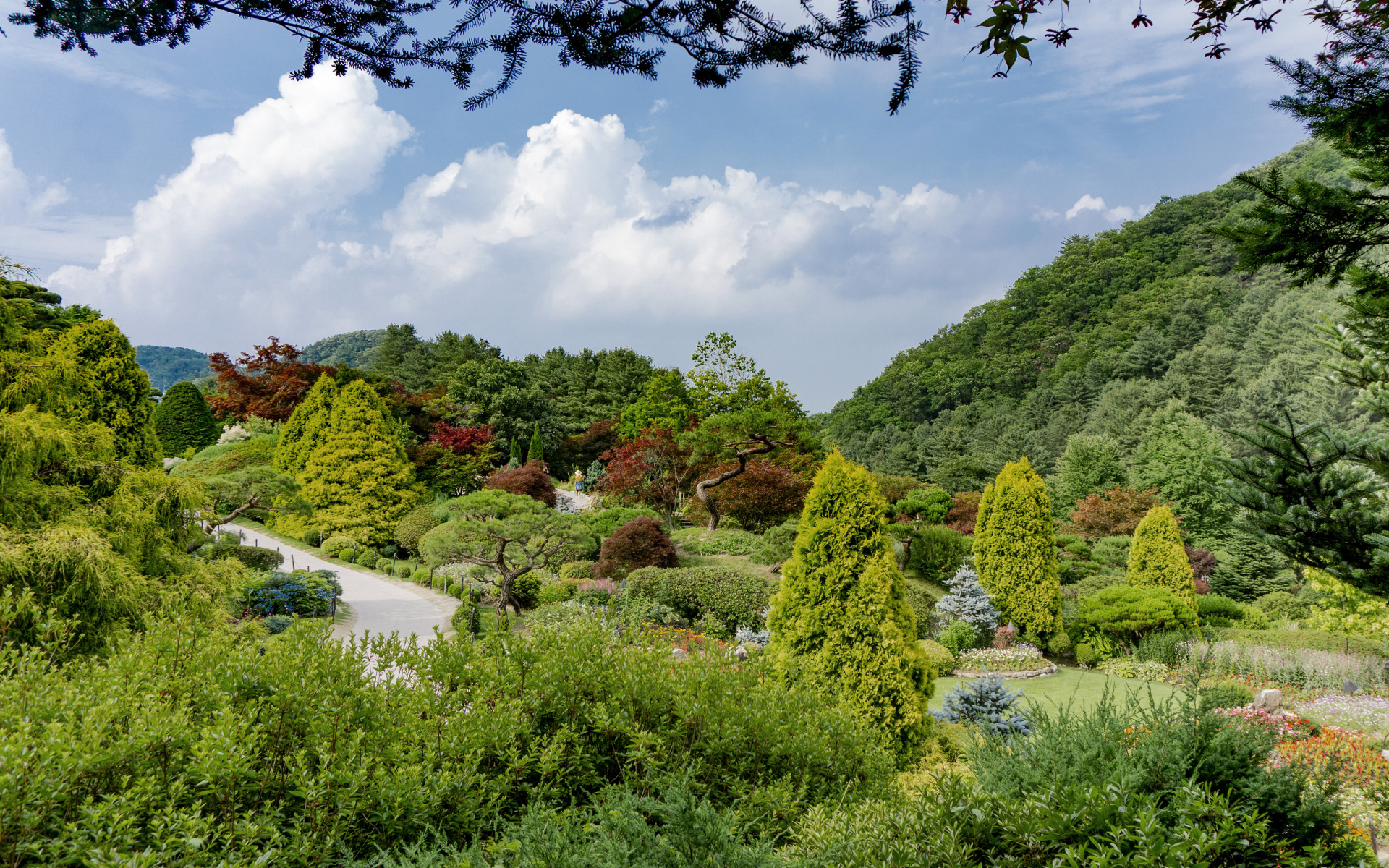 Красивый зеленый парк под голубым небом, Корея