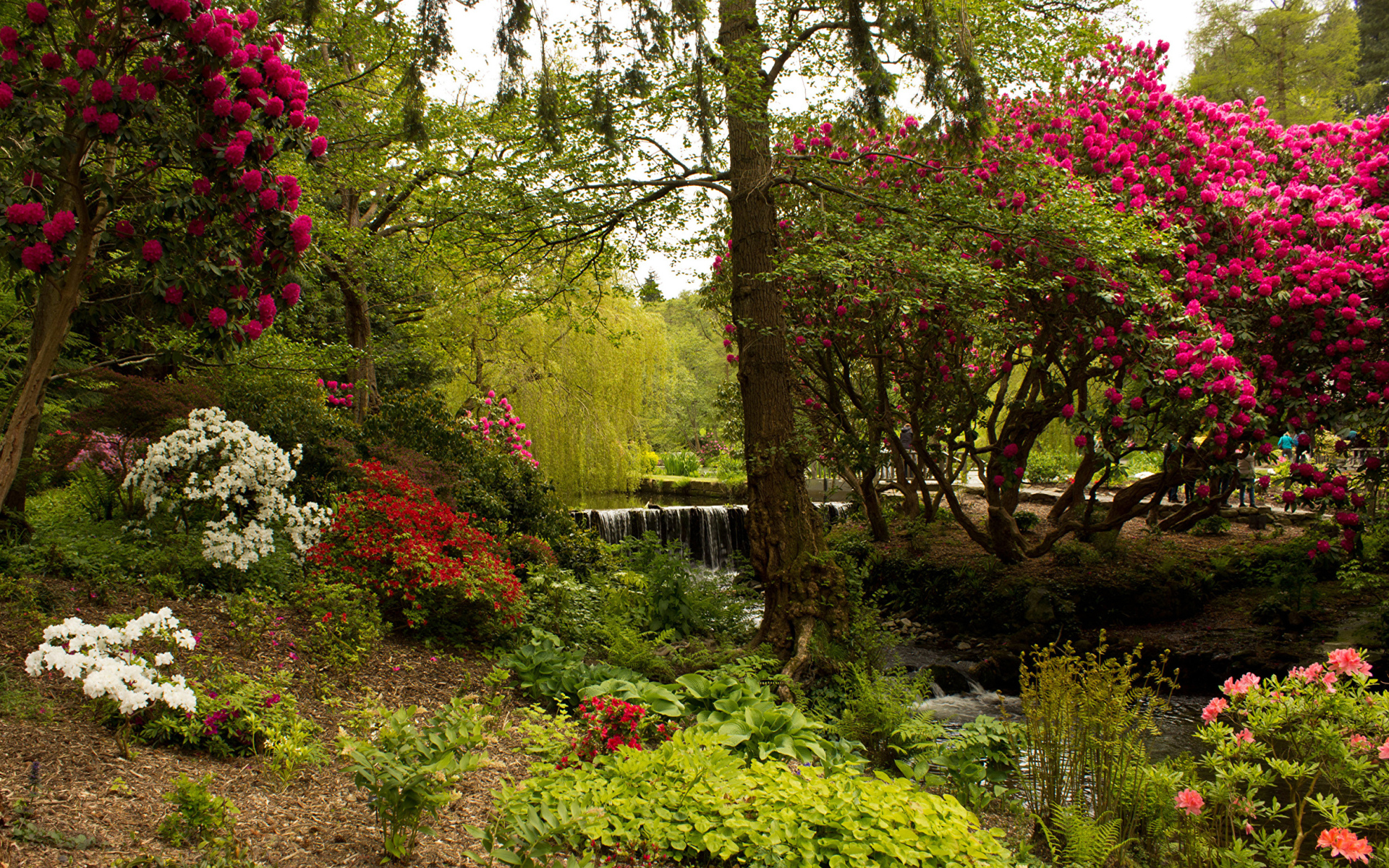 Beautiful picturesque park with flowering bushes