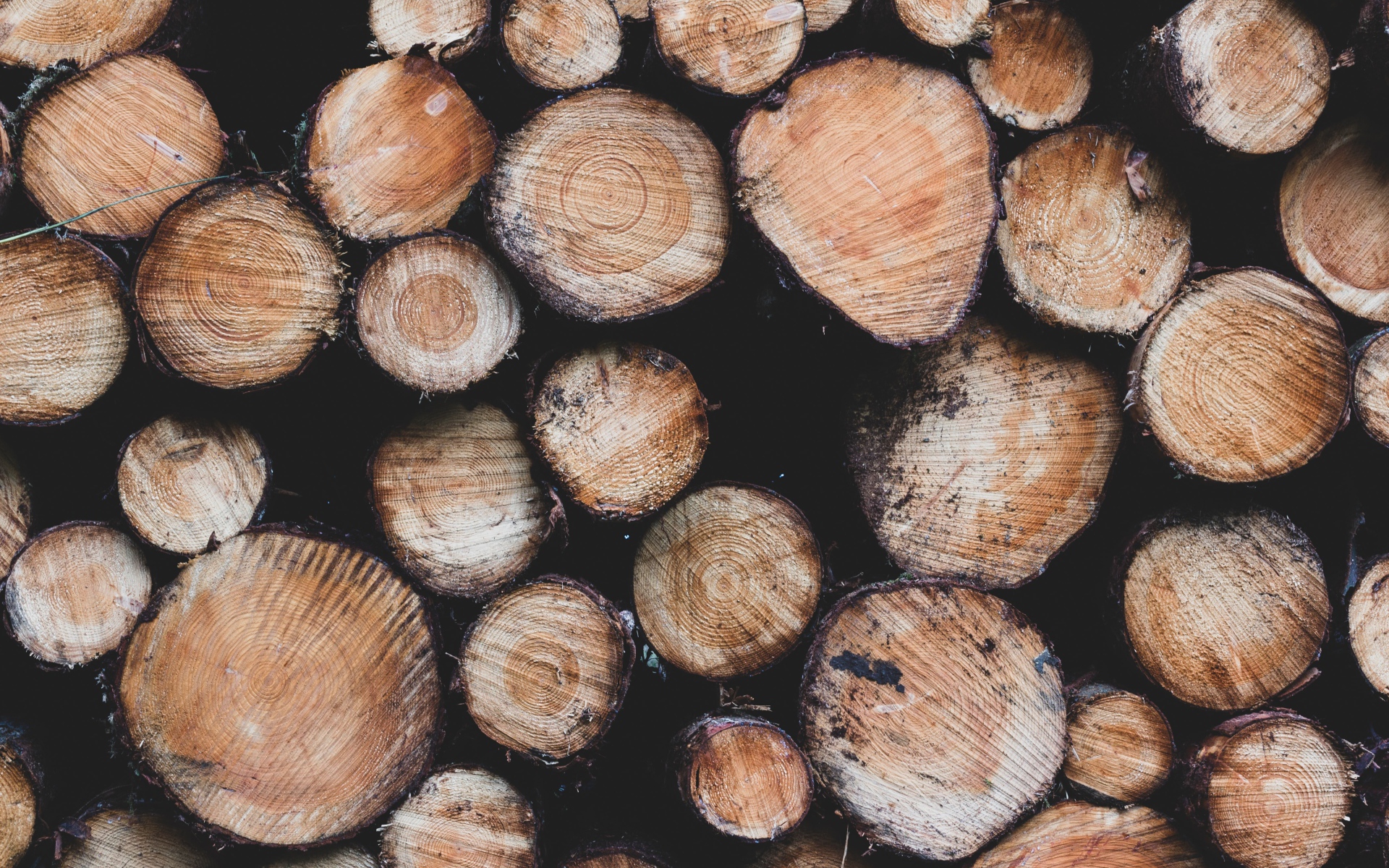 Заготовка дров к суровой зиме