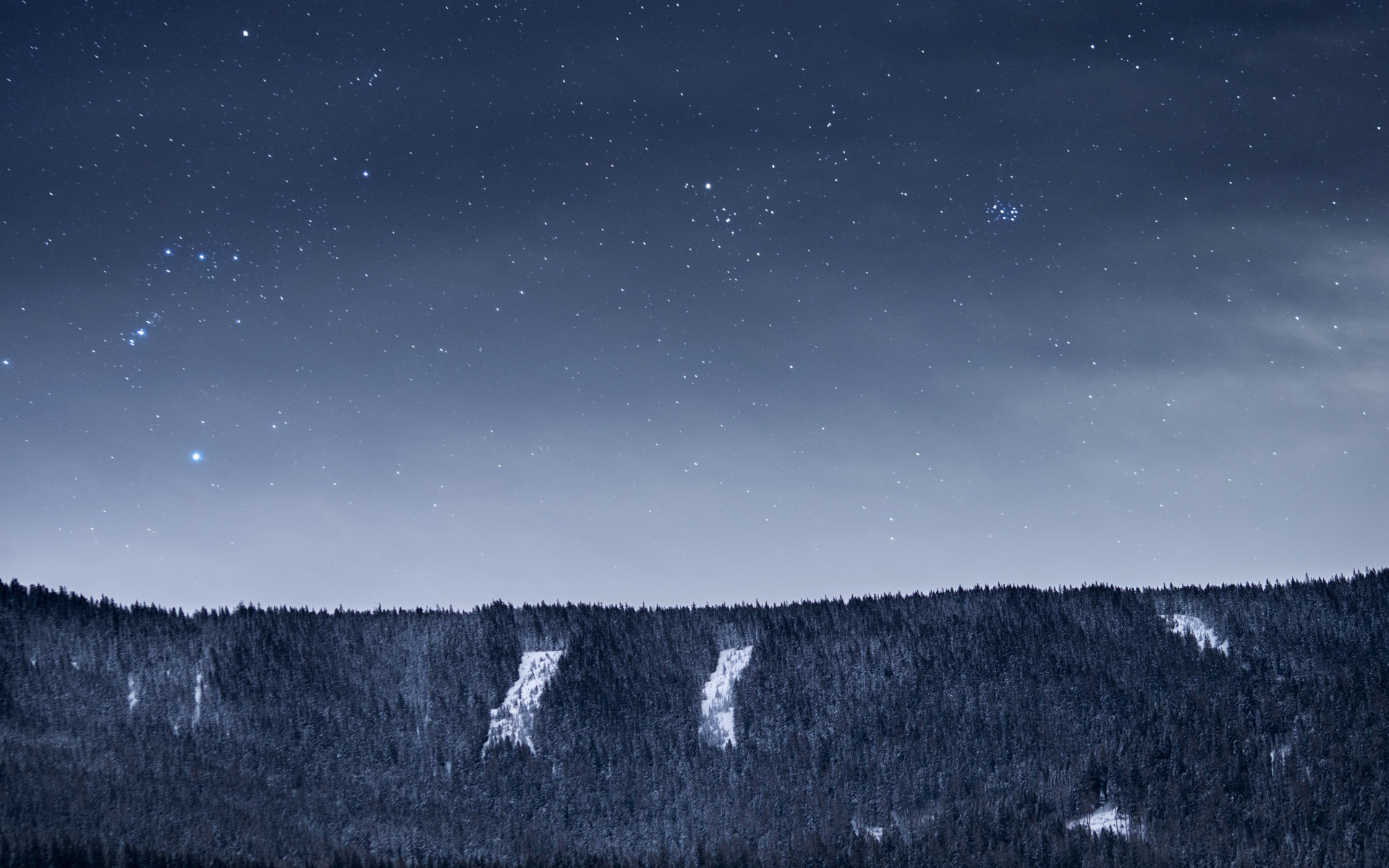 Вид на ночное небо со звездами над лесом