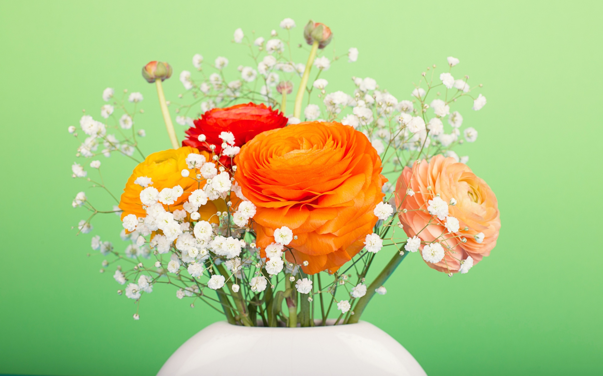 Букет разноцветных лютиков в белыми цветами в вазе на зеленом фоне