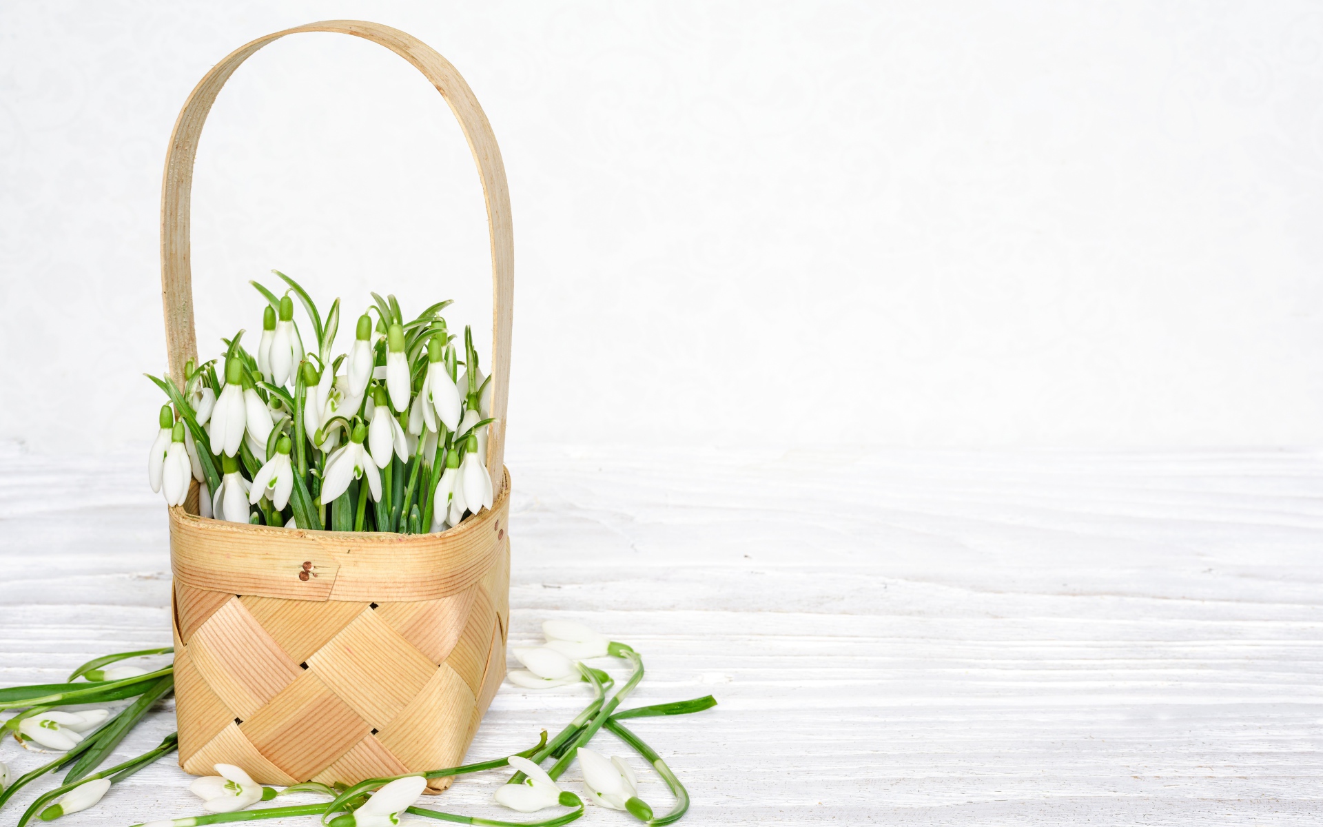 Букет подснежников в корзине на белом столе 