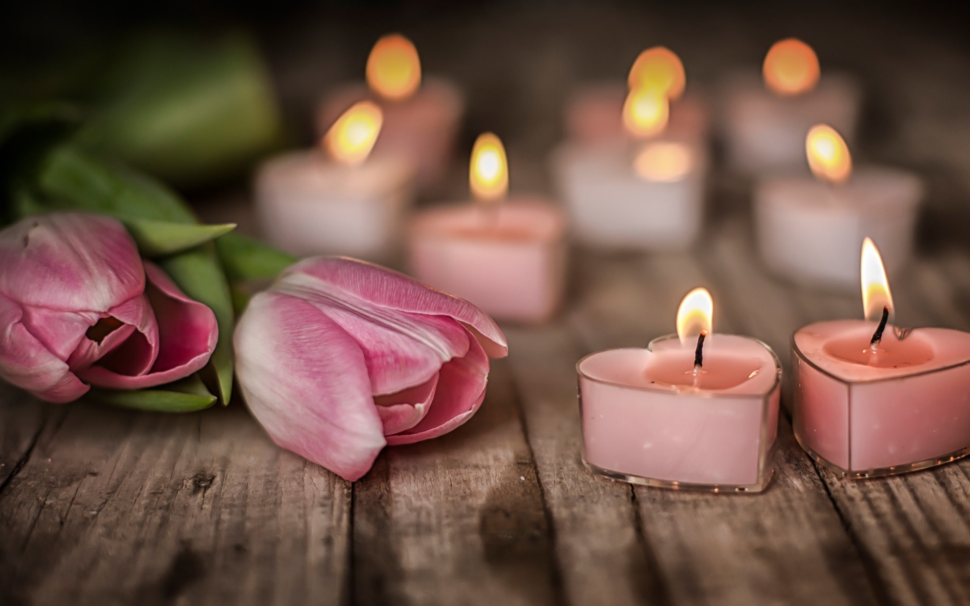 Зажженные стены на столе с розовыми тюльпанами 