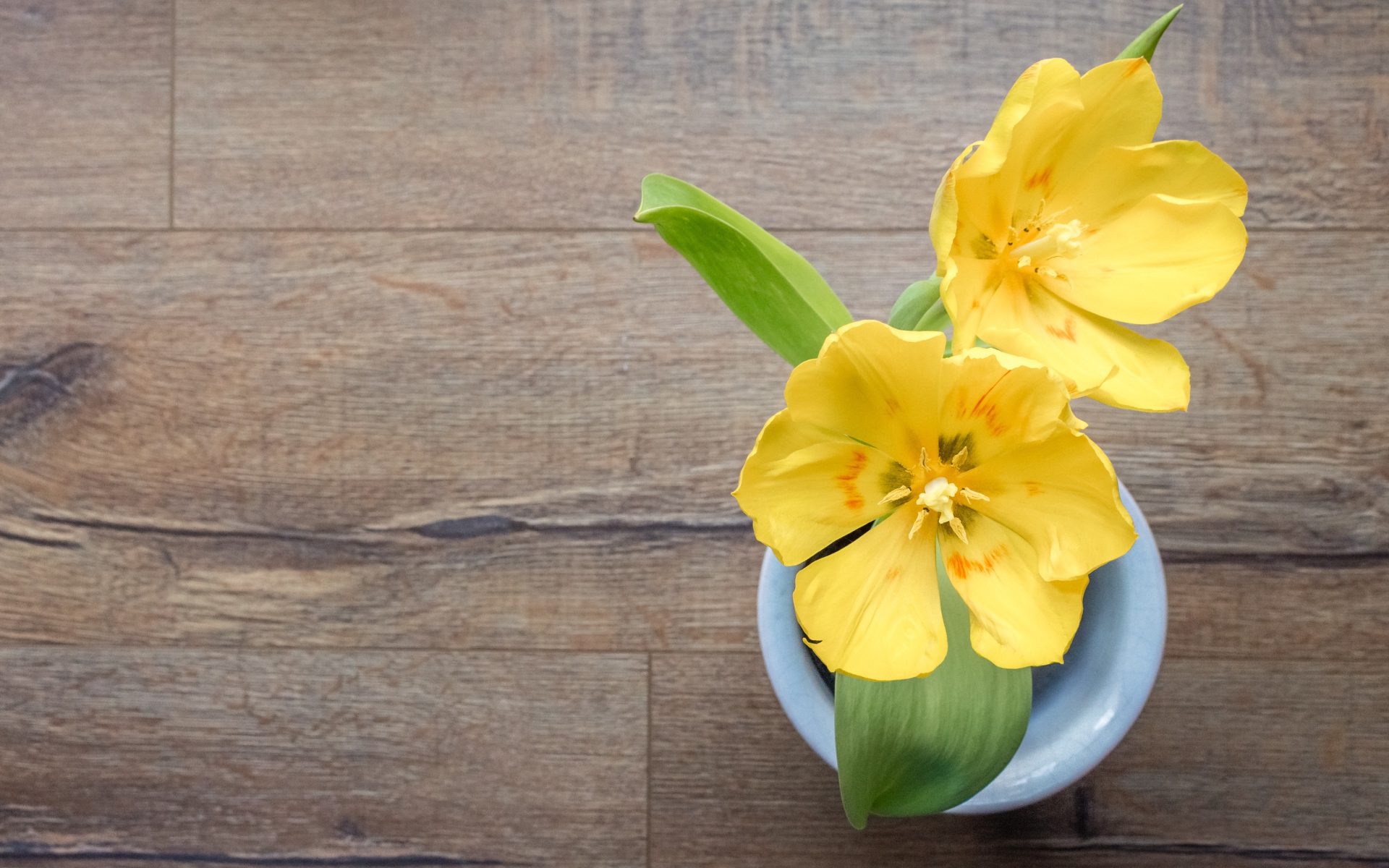 Два желтых тюльпана в вазе на деревянном столе 
