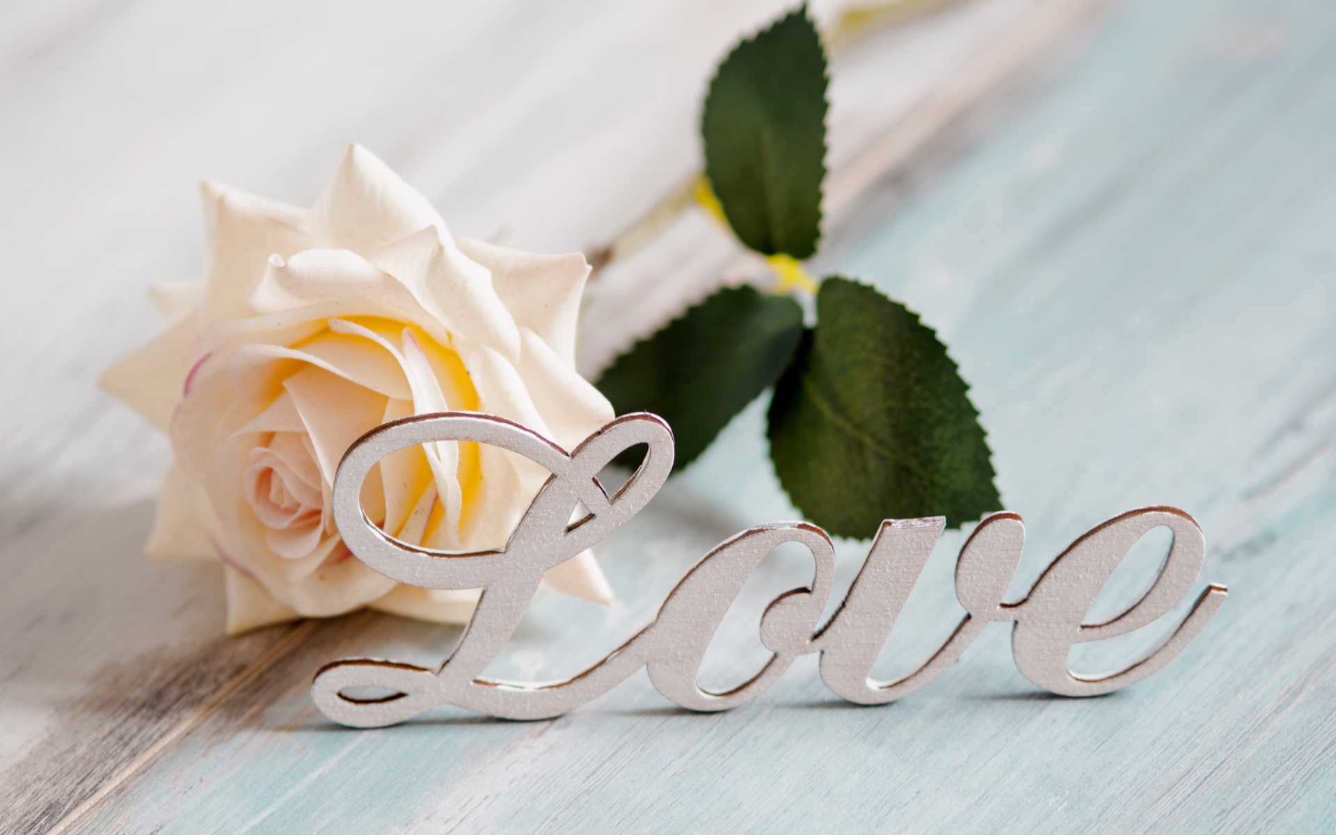Белая надпись любовь на английском с белой розой