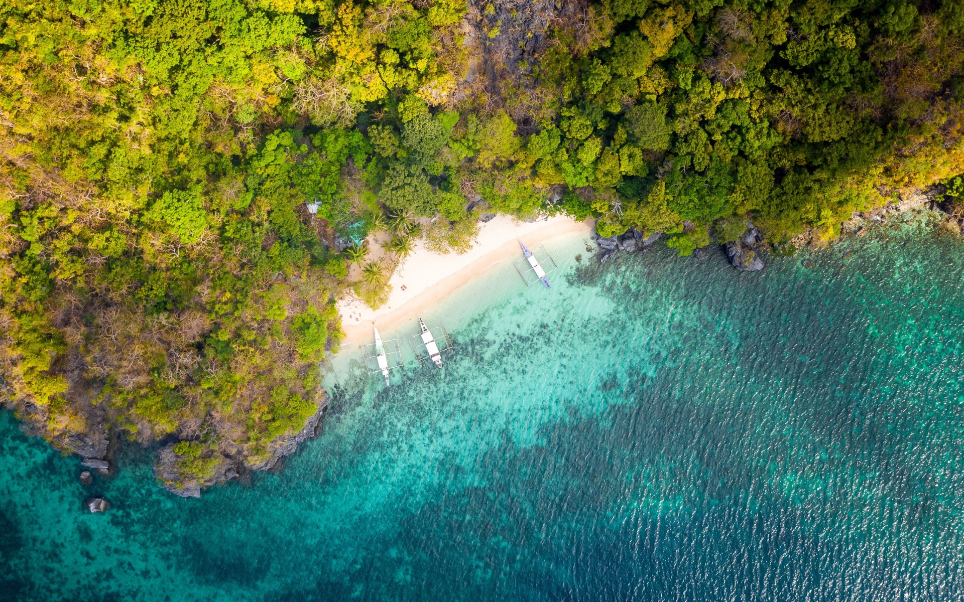Вид на голубую воду и лес сверху 