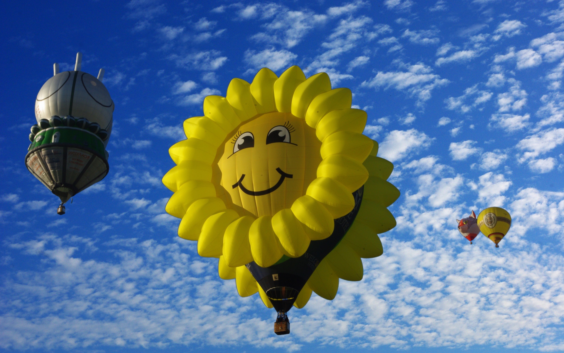 Красивые воздушные шары в голубом небе 