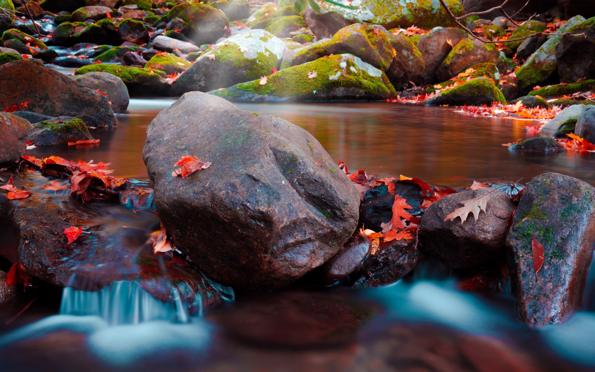 Большие мокрые камни с мхом в реке