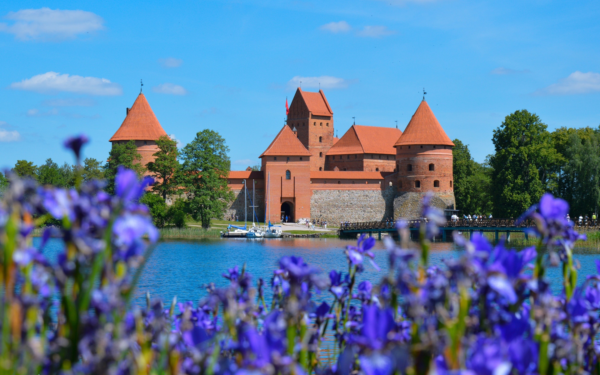 Вид на старую крепость у озера с цветами ириса