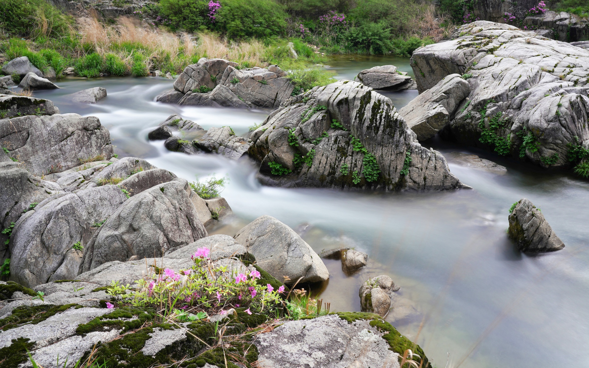 Большие камни в горной реке 