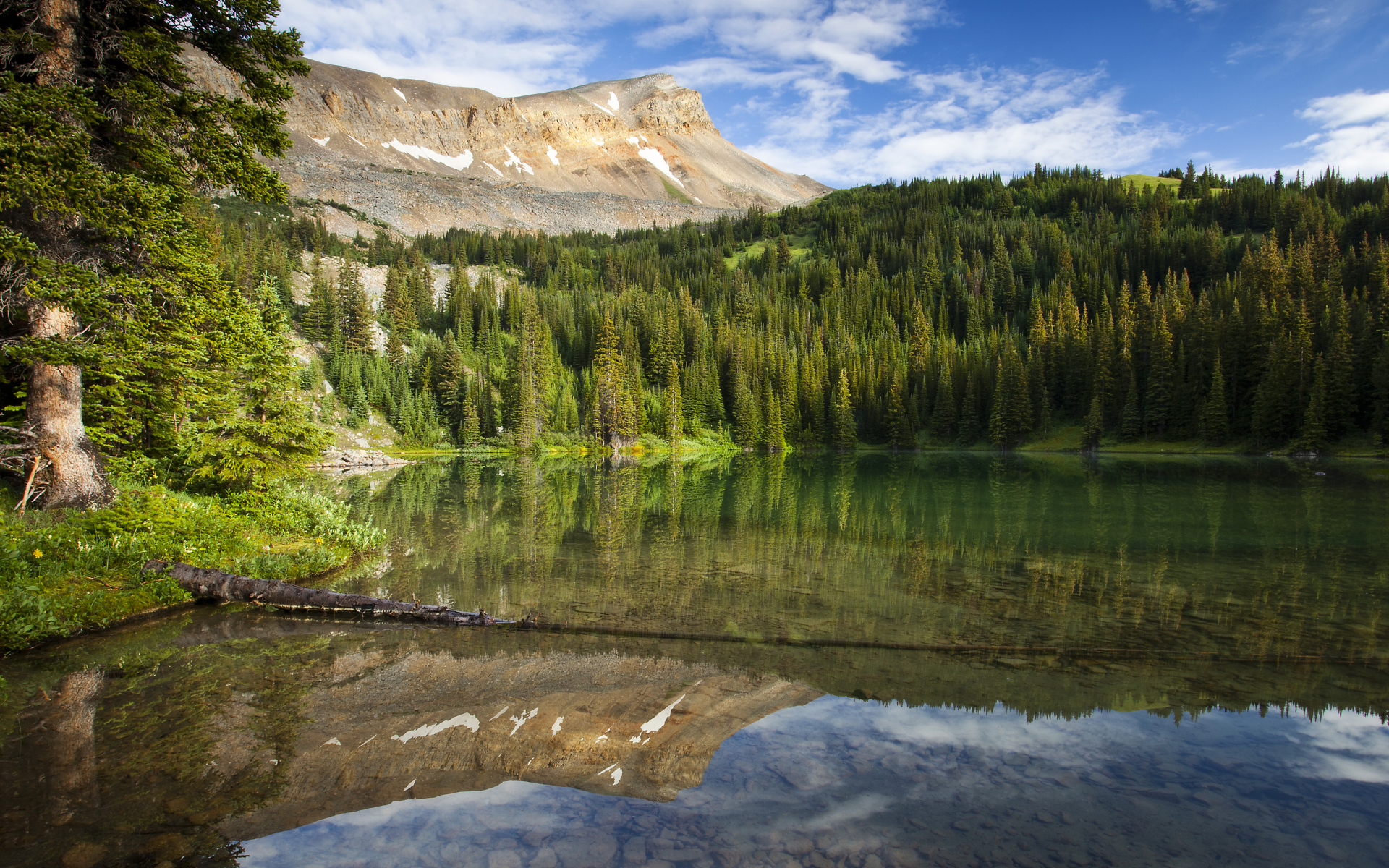 Спокойная чистая вода в озере под голубым небом у хвойного леса 