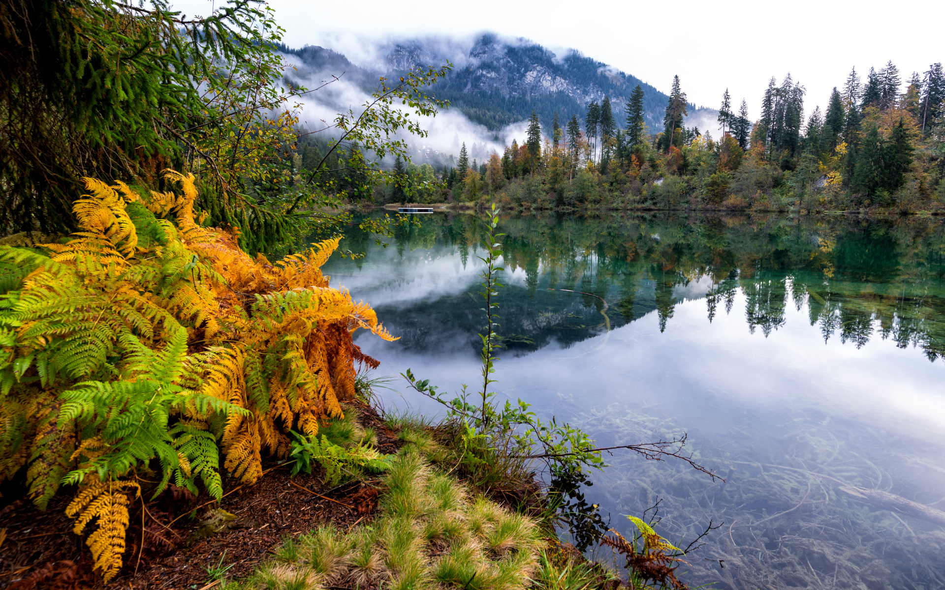 Туман покрывает горы у спокойного озера на рассвете 