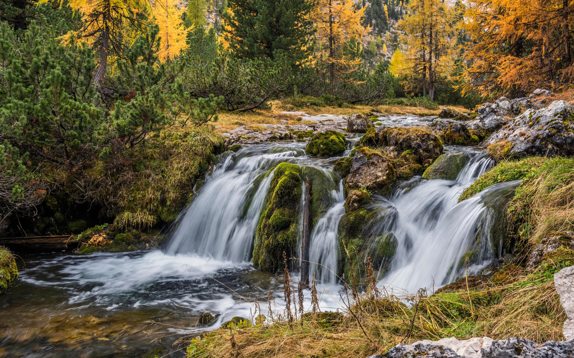 Быстрая вода водопада стекает по камням в осеннем лесу