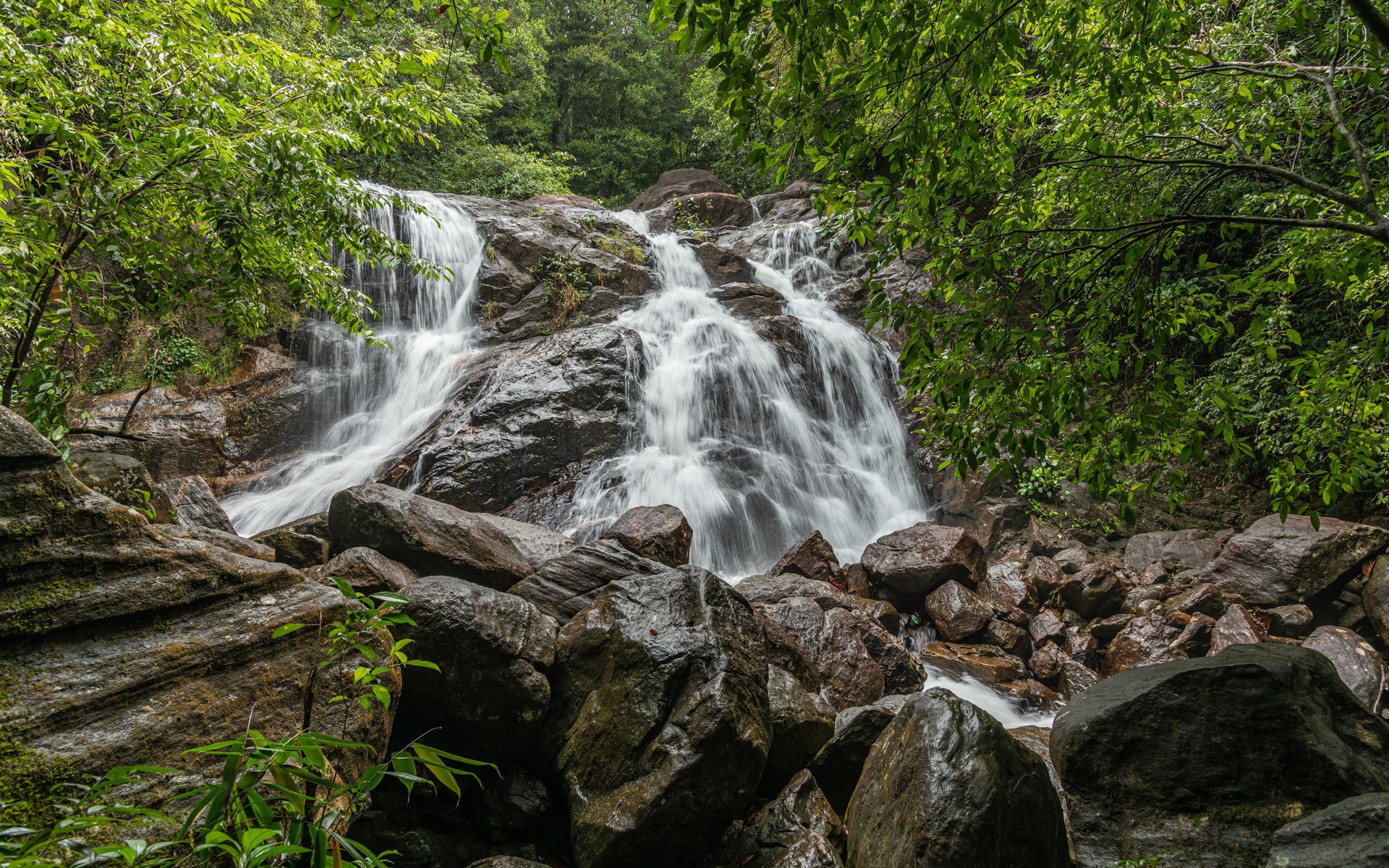 Водопад стекает по большим мокрым камням в лесу 