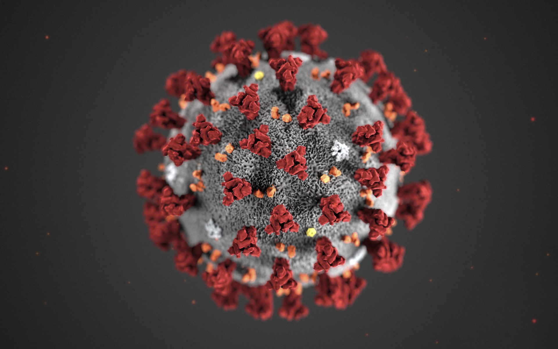 Коронавирус COVID-19 на сером фоне