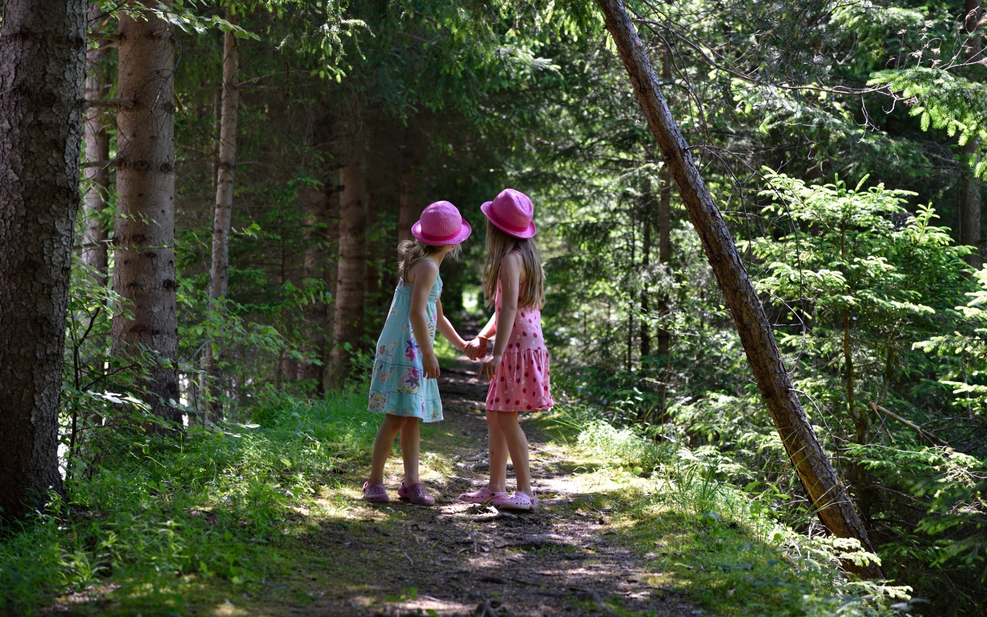 Две маленькие девочки гуляют в лесу