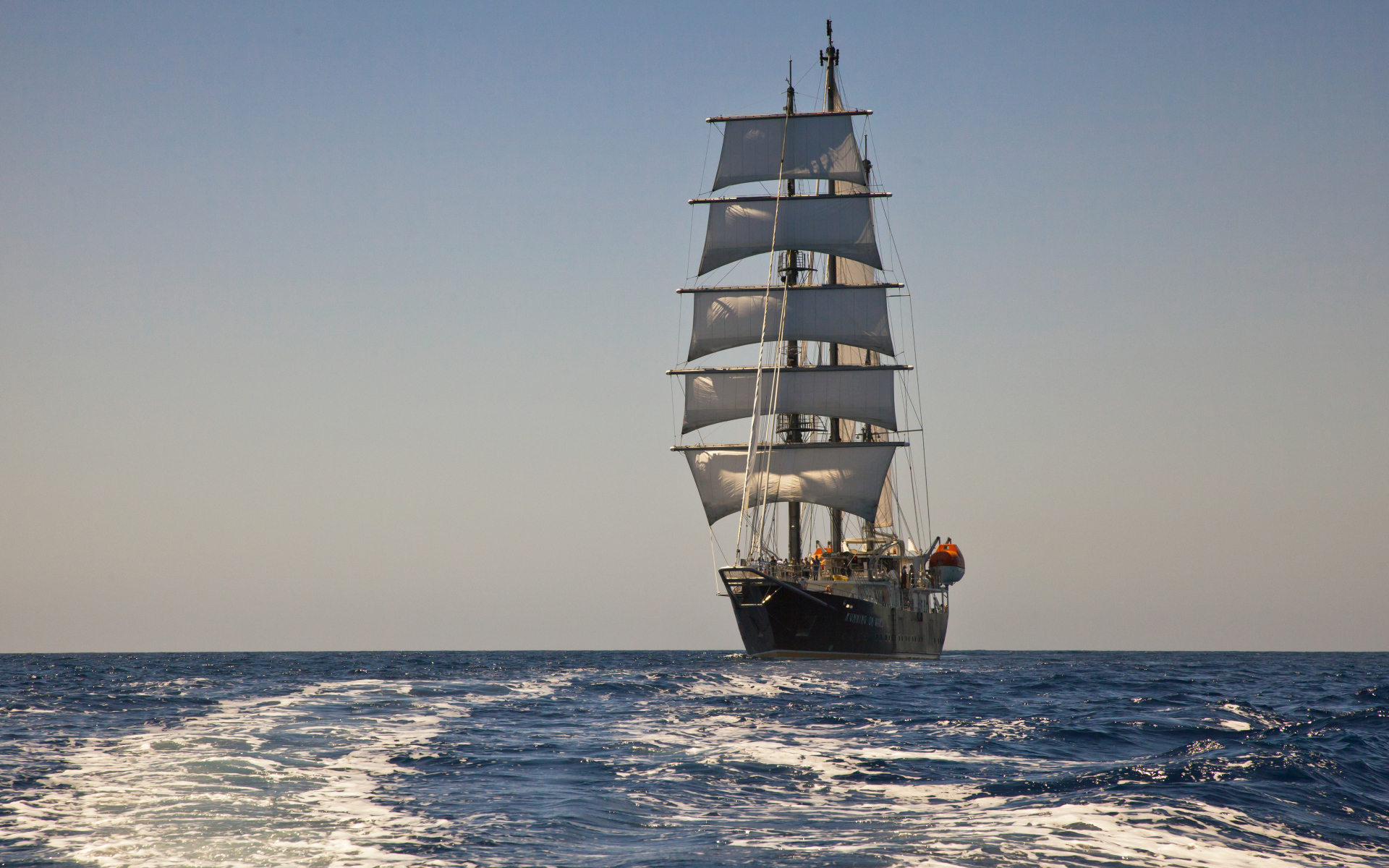 Большой корабль с белыми парусами в поле 