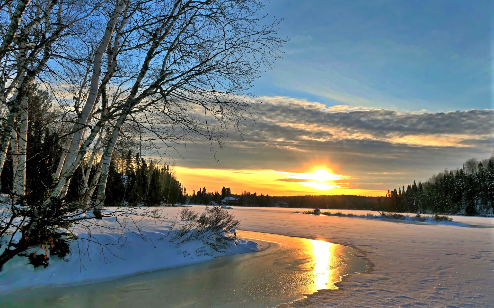 Birches on the banks of an ice-covered river at sunset in winter