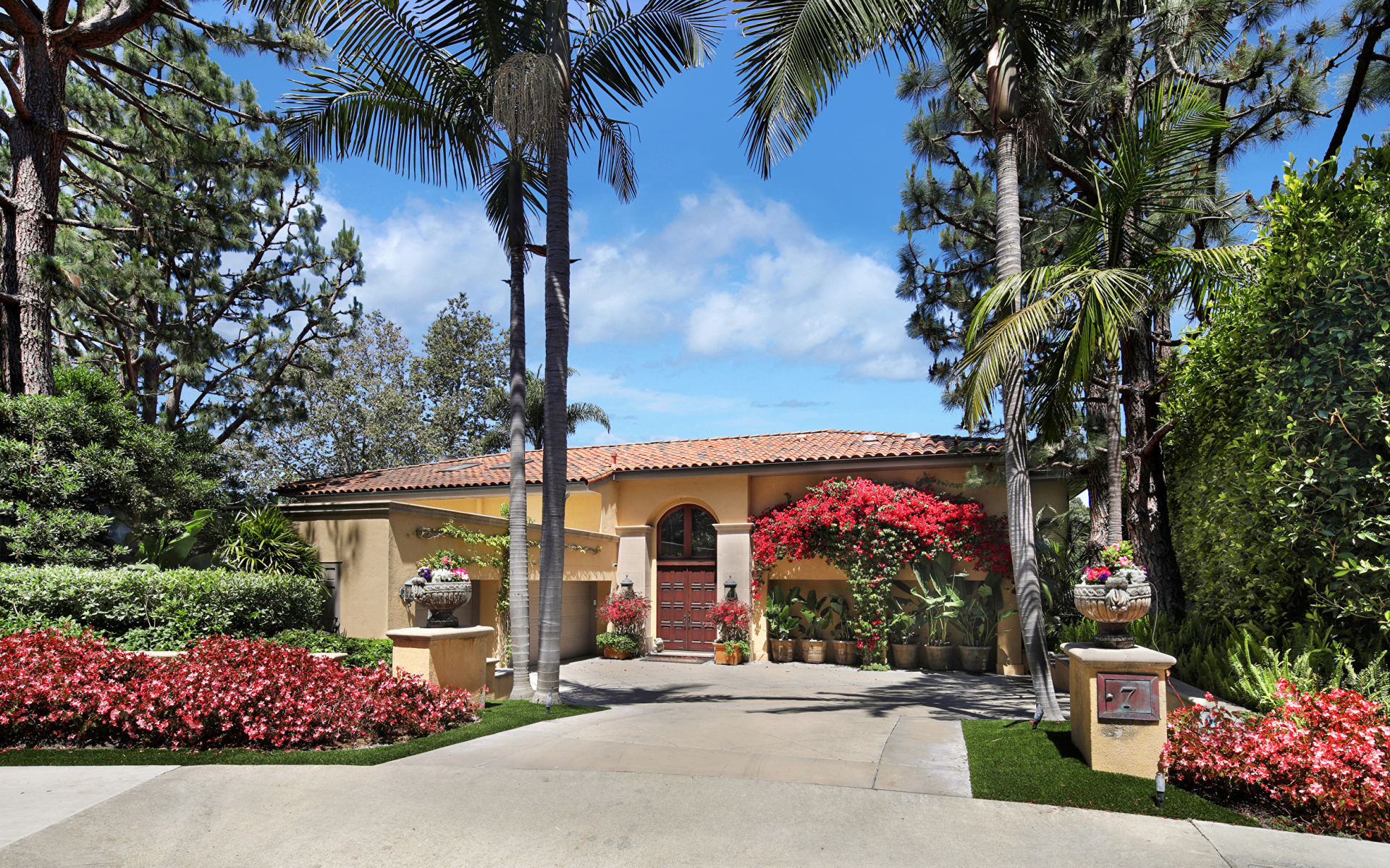 Дом на улице с цветущими кустами и пальмами