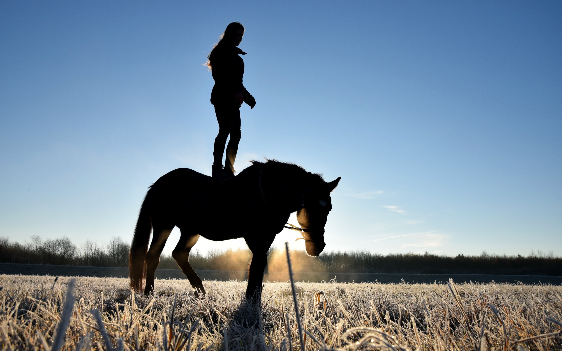 Девушка стоит на коне на фоне рассвета 