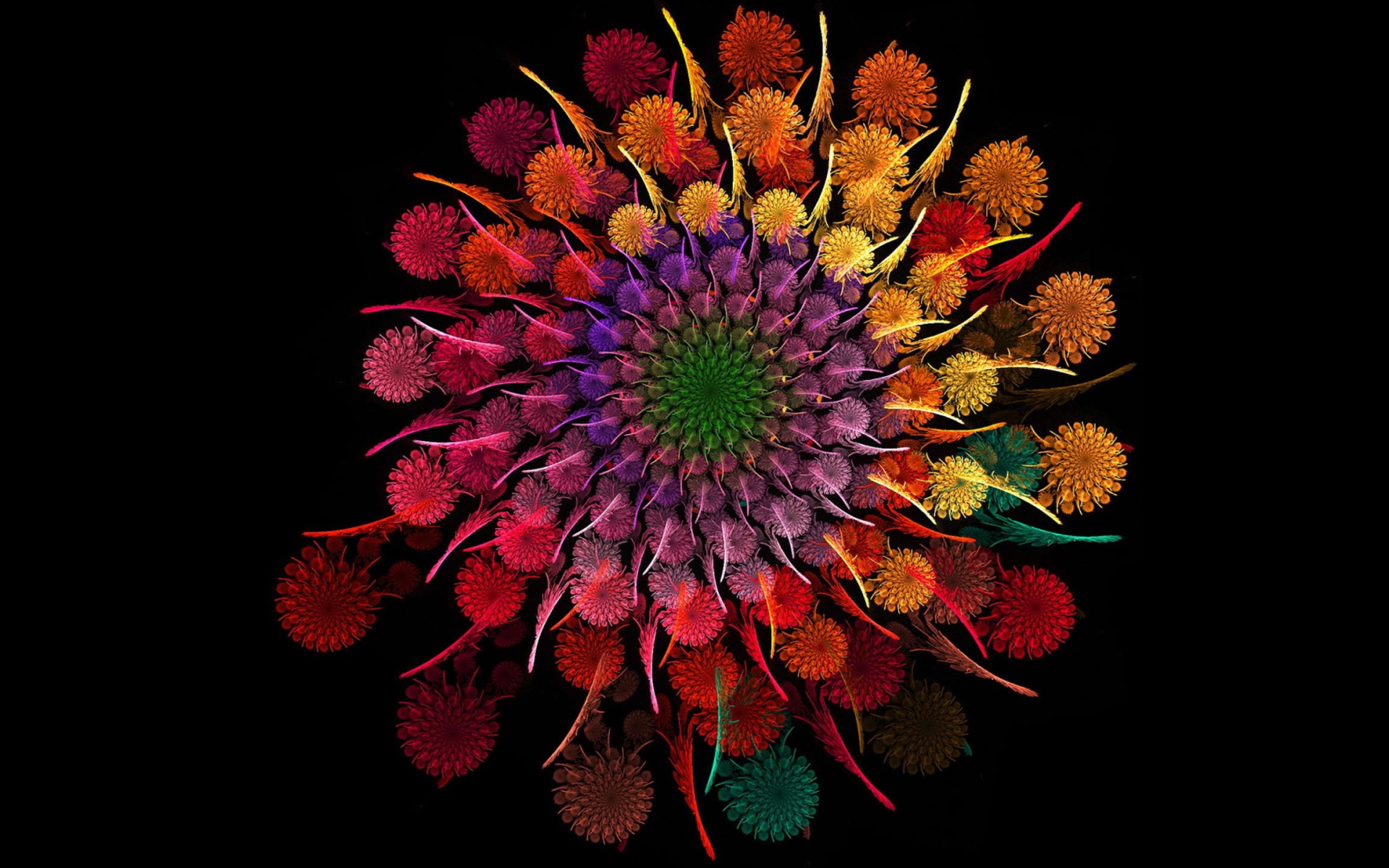 Beautiful multicolored abstract flowers in spirals on a black background