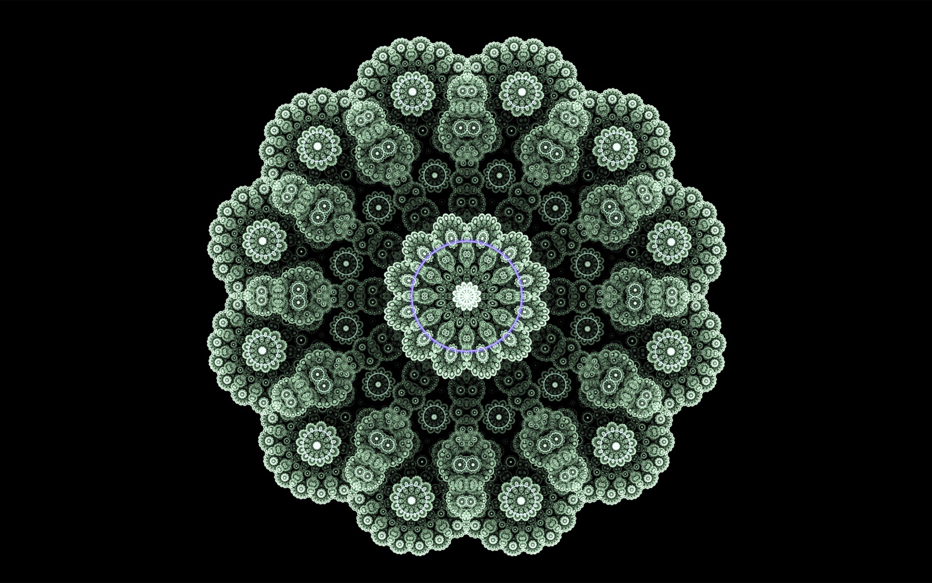 Кружевной зеленый фрактальный цветок на черном фоне