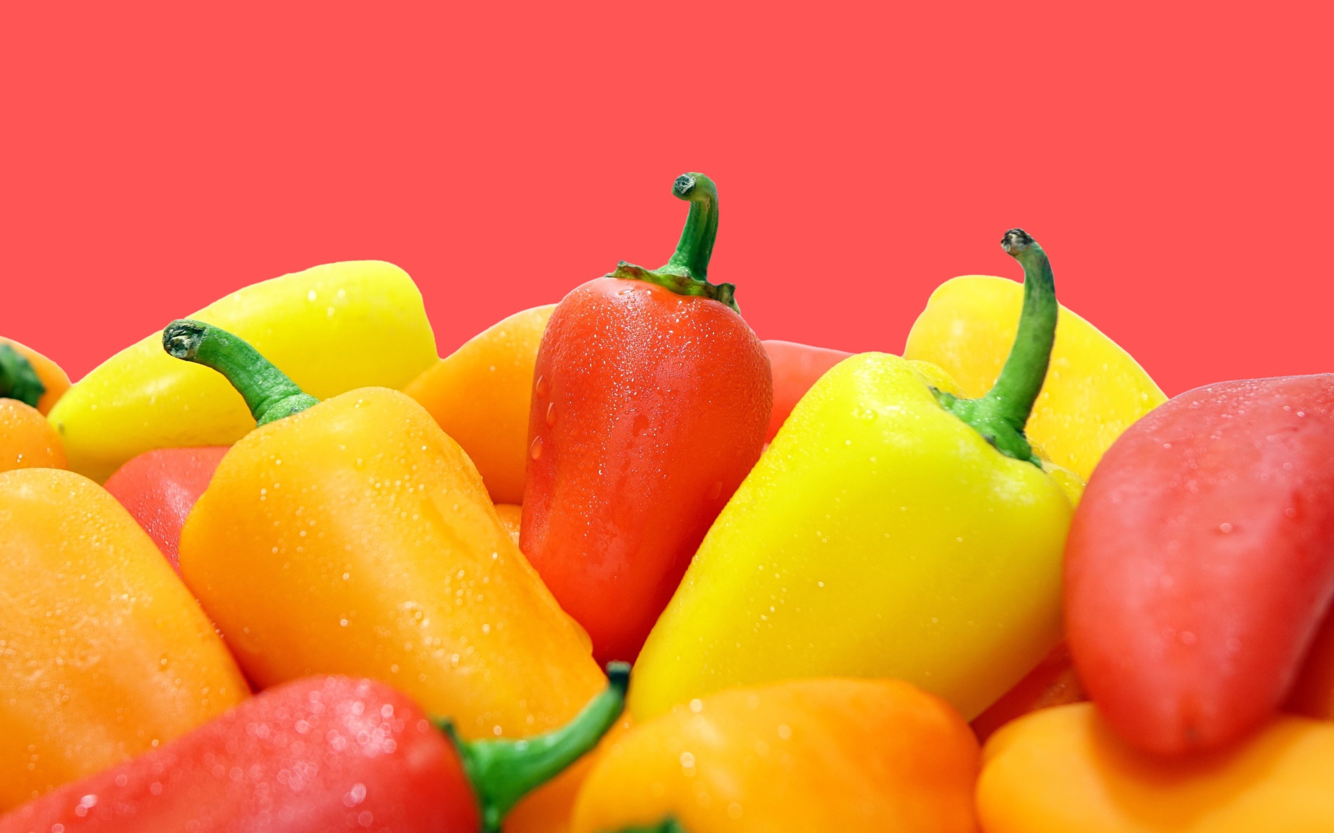 Красный и желтый перец на розовом фоне 