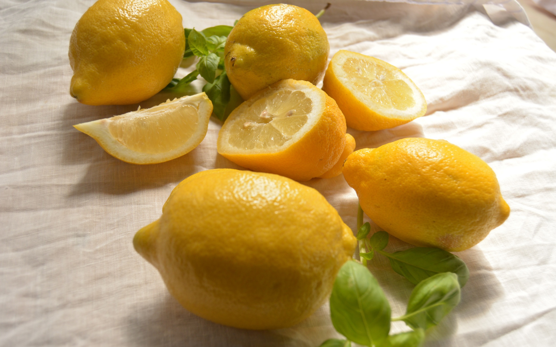 Желтые кислые лимоны с листьями базилика 