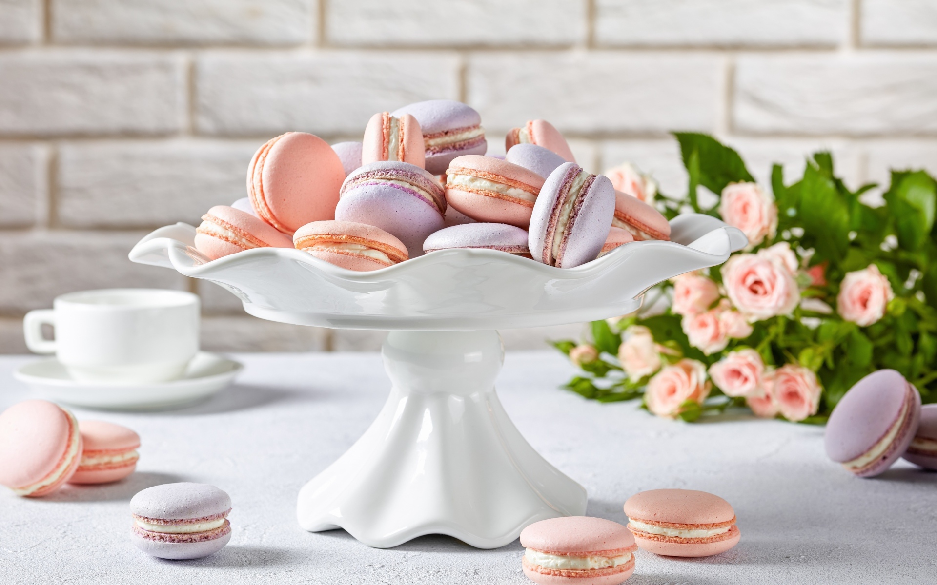 Розовое и сиреневое печенье макарун в белой вазе
