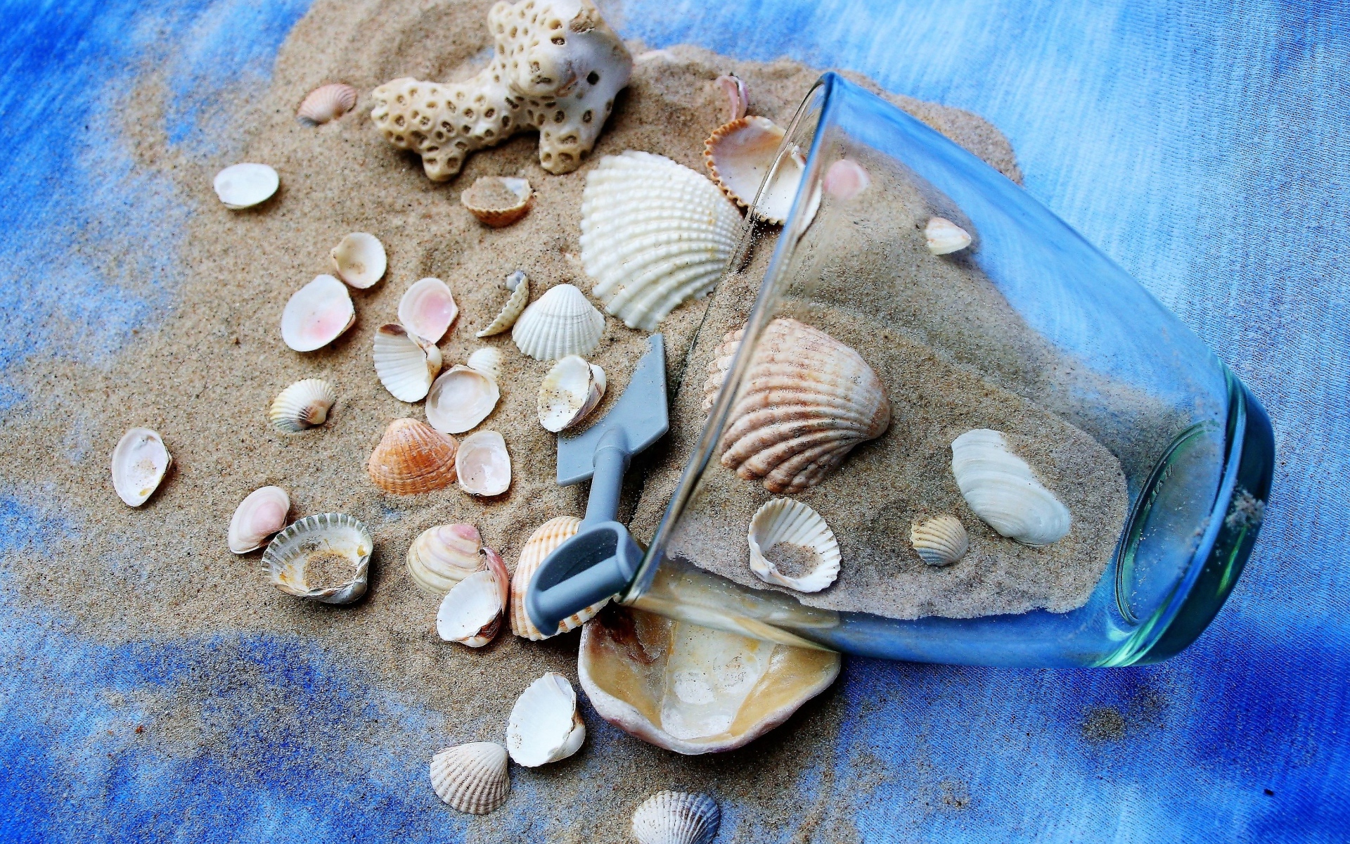 Морские ракушки и чашка с песком на пляже 