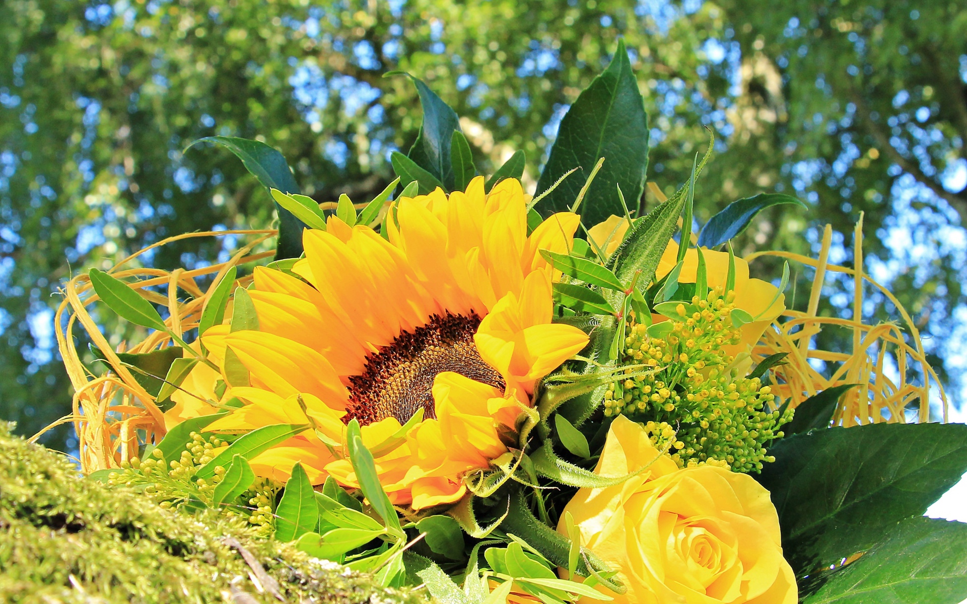 Букет цветов подсолнуха и желтой розы